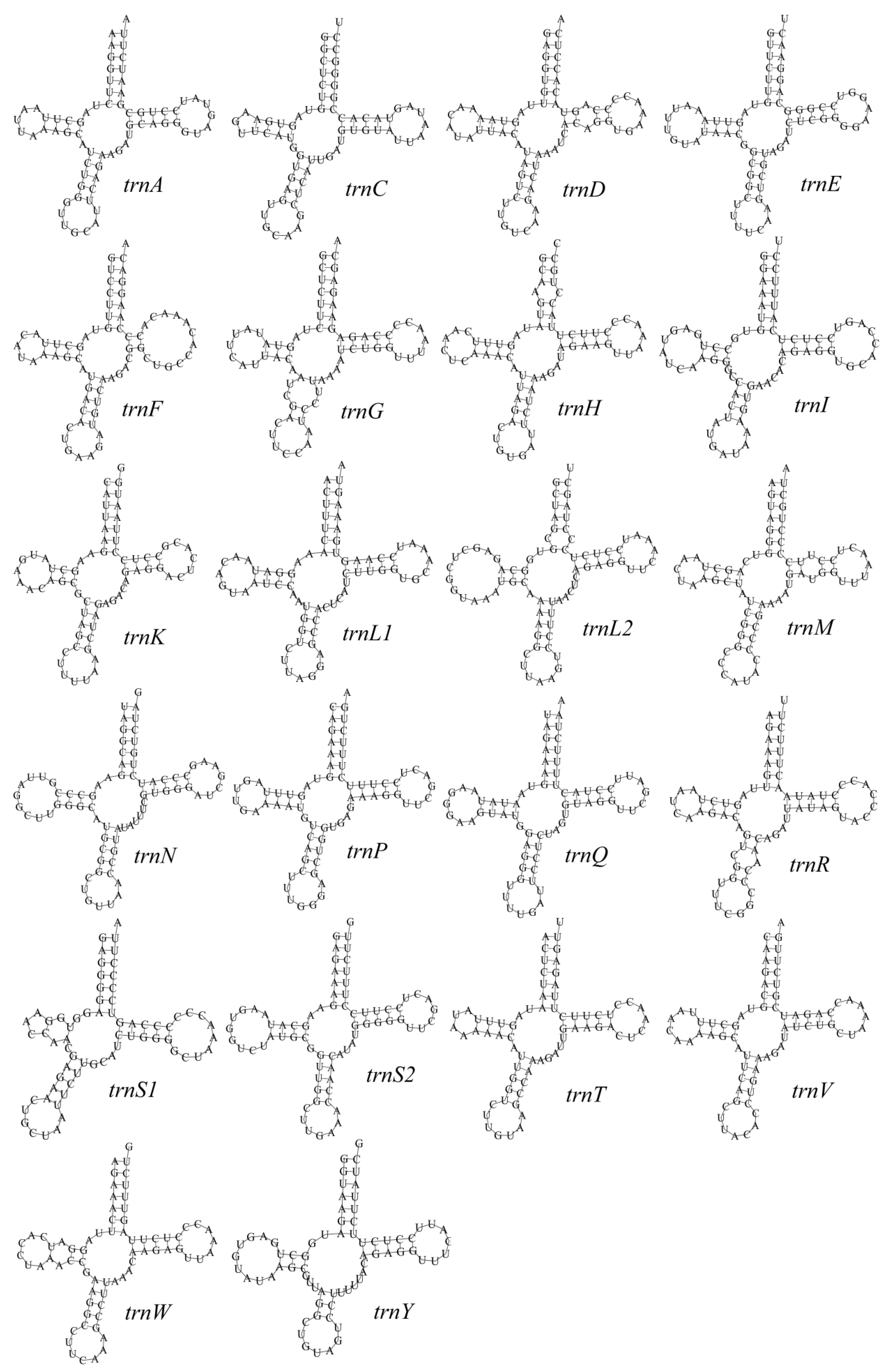 Genes 16 01284 g003 Genes 16 01284 g003