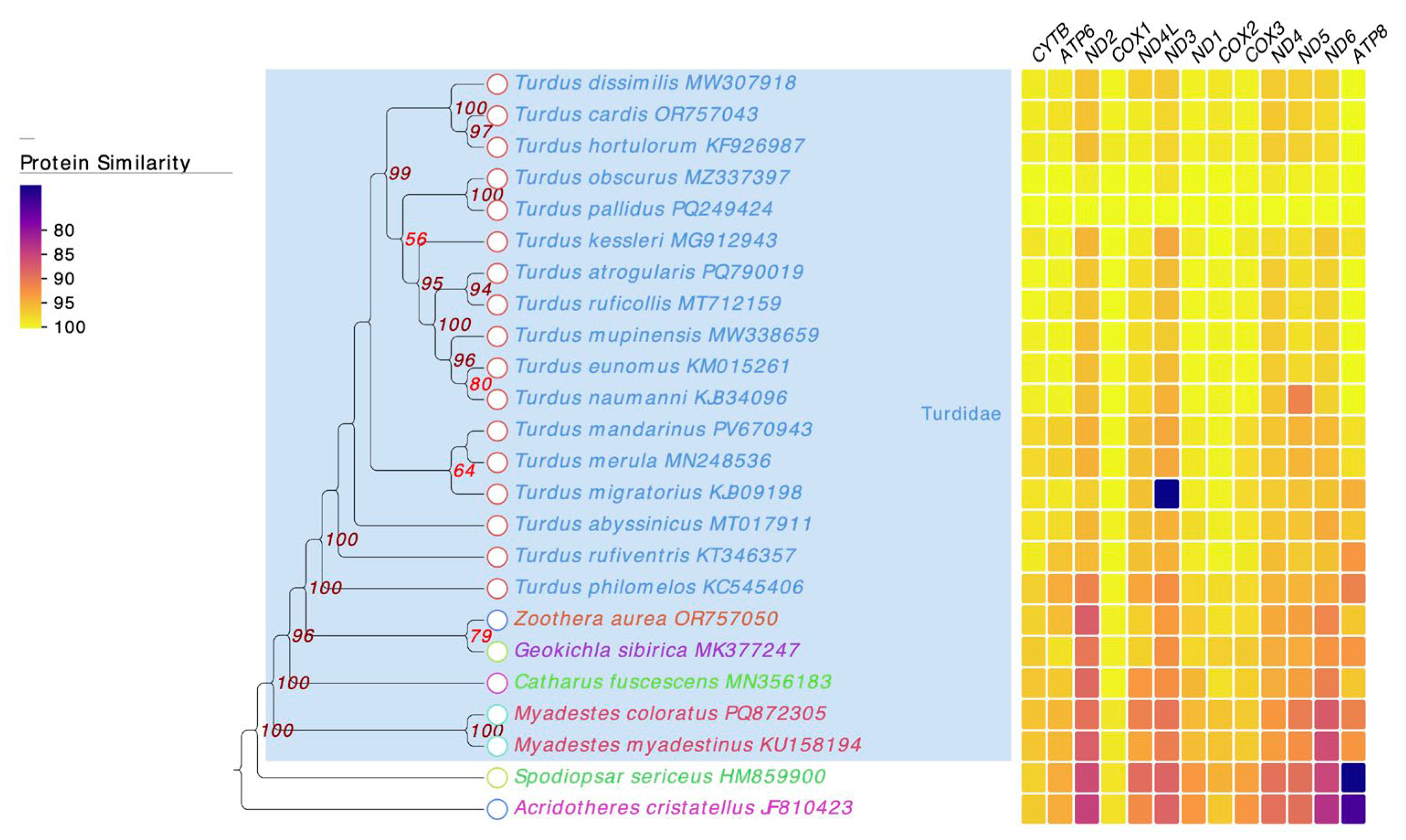 Genes 16 01284 g005 Genes 16 01284 g005