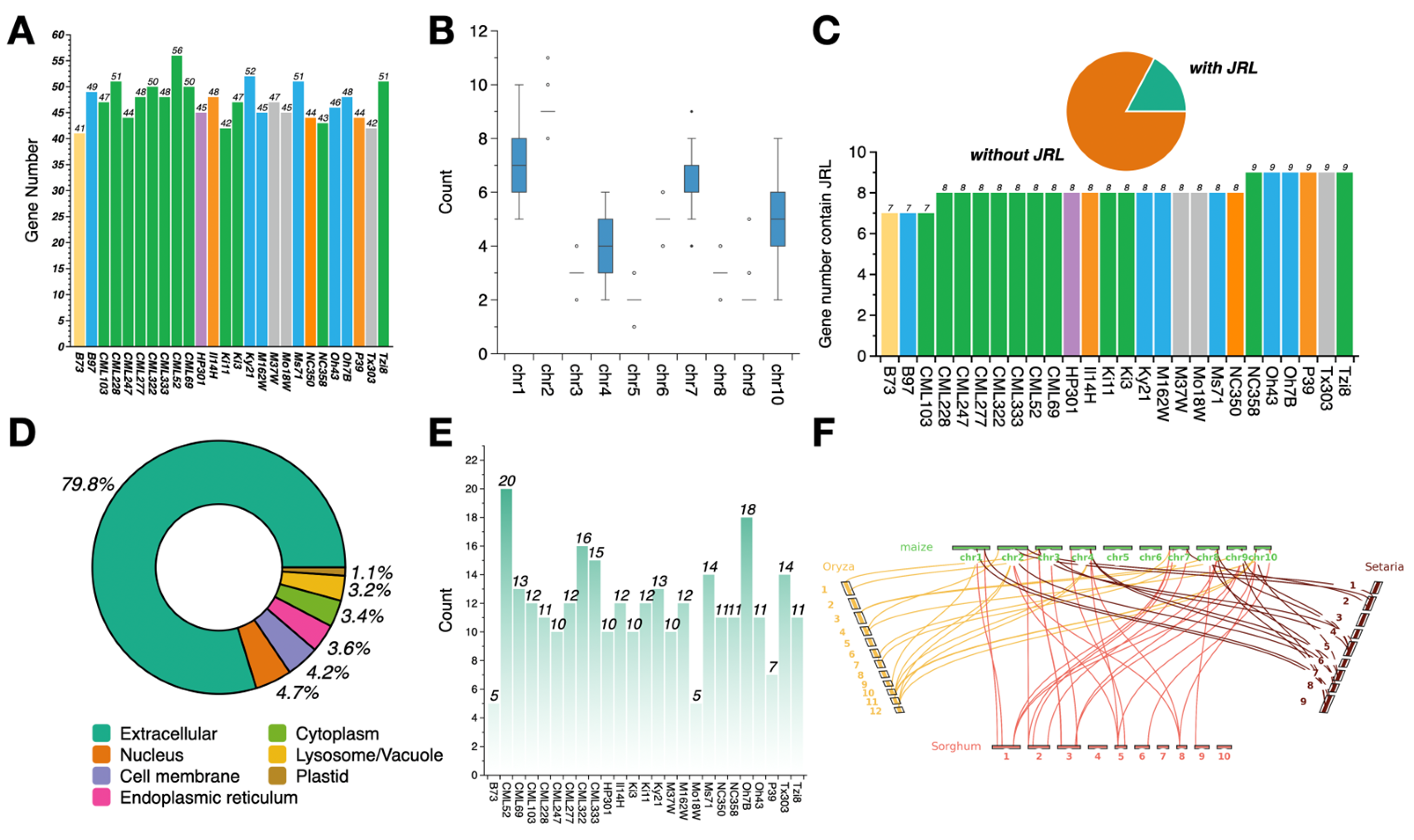 Genes 16 01285 g001 Genes 16 01285 g001