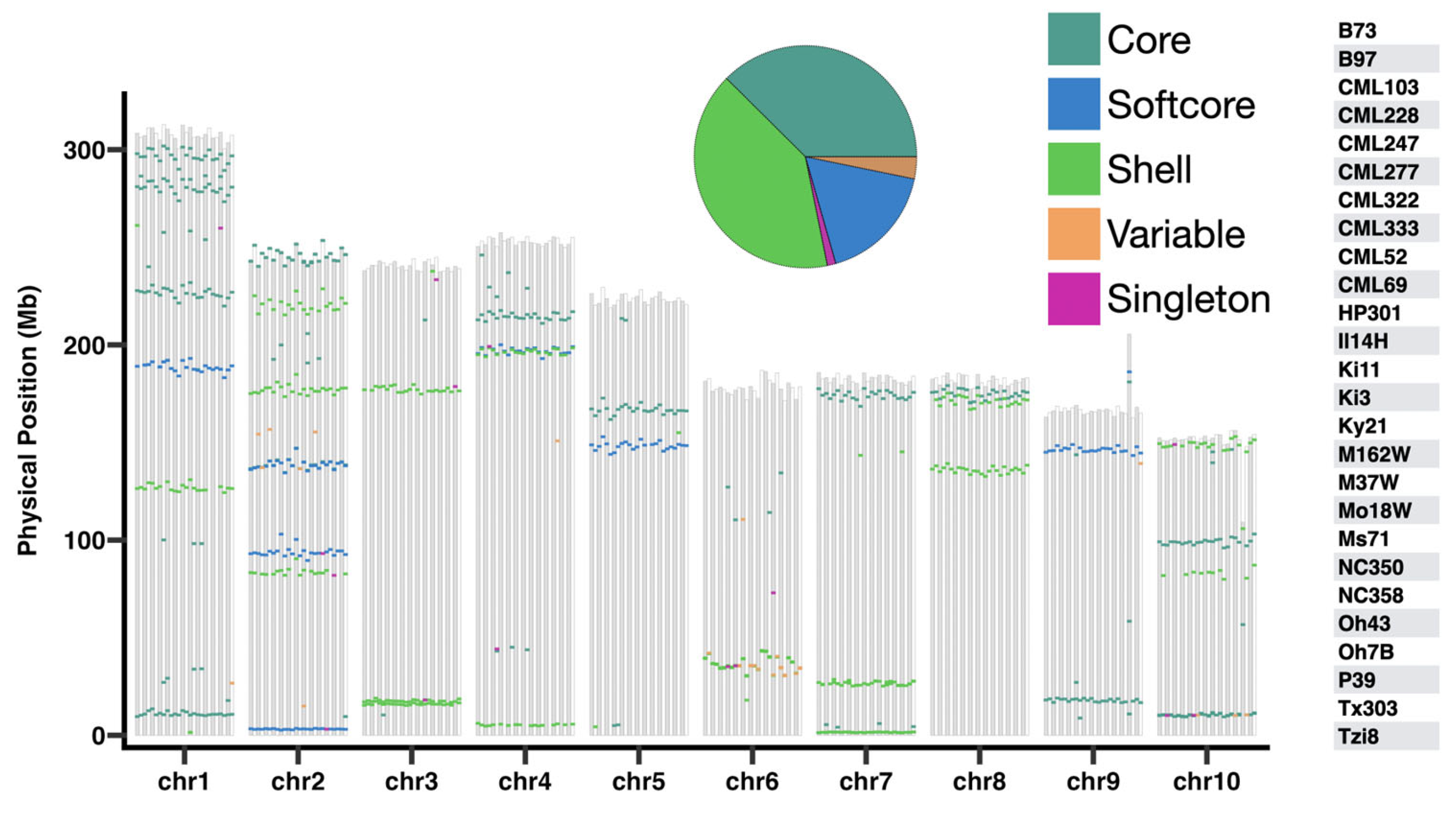 Genes 16 01285 g003 Genes 16 01285 g003