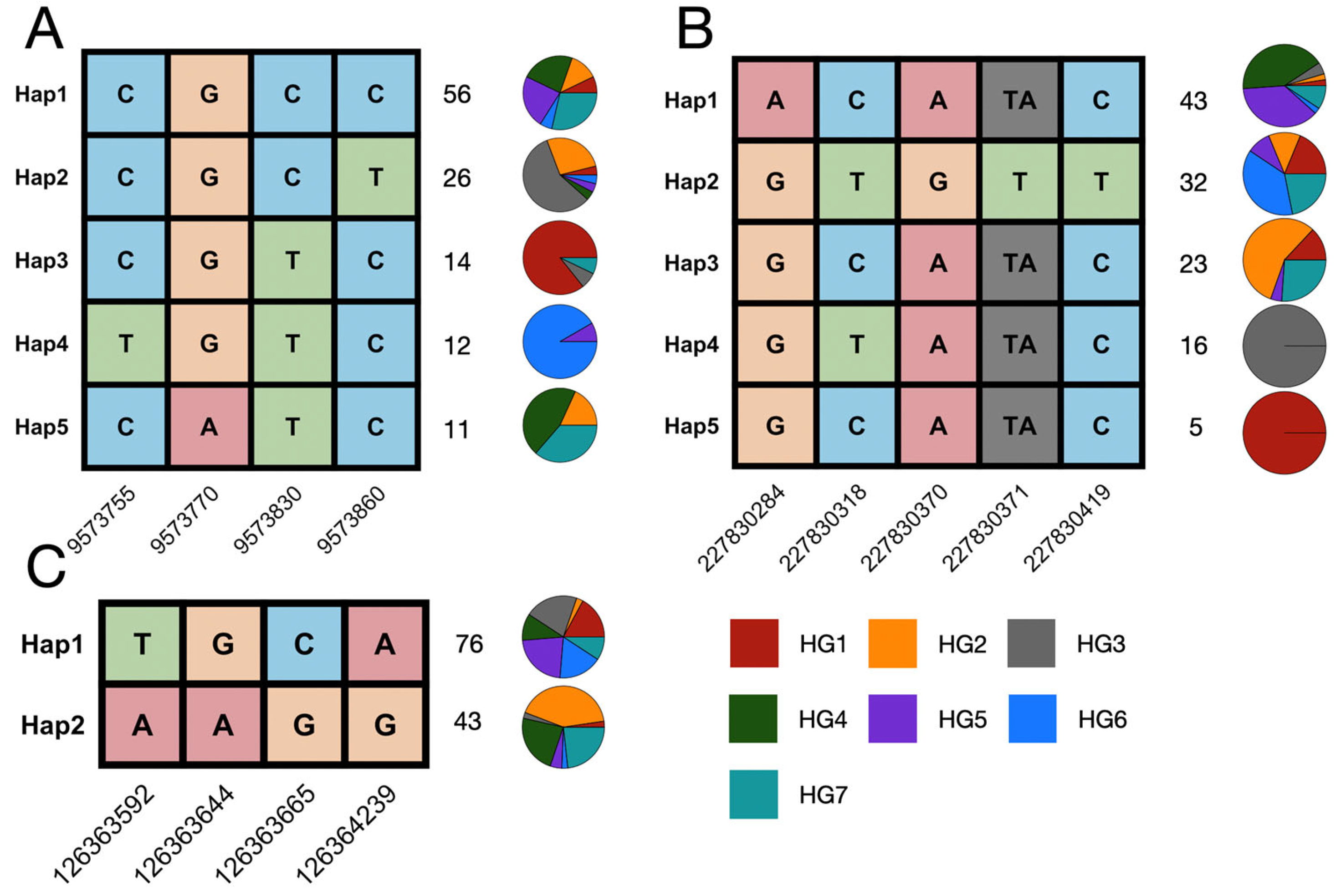 Genes 16 01285 g004 Genes 16 01285 g004