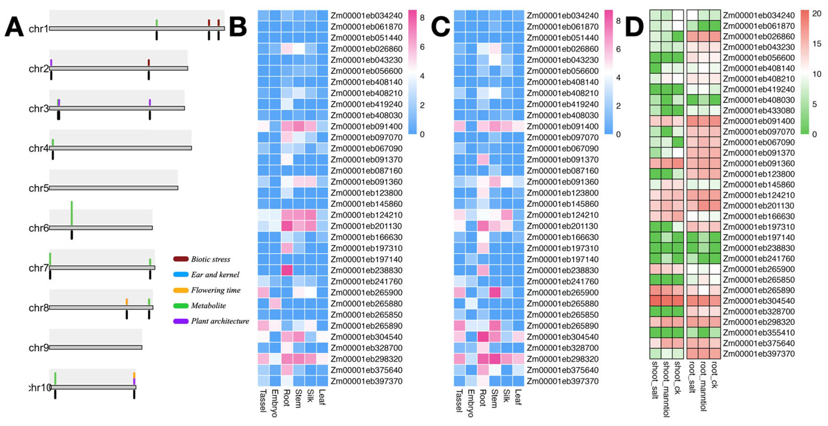 Genes 16 01285 g005 Genes 16 01285 g005
