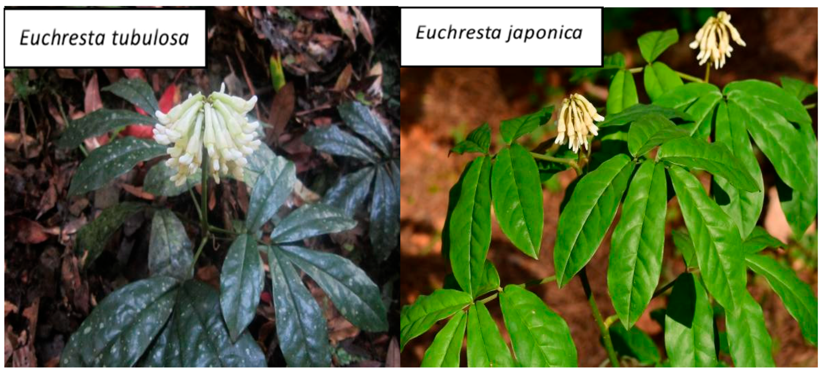 Genes 16 01286 g001 Genes 16 01286 g001