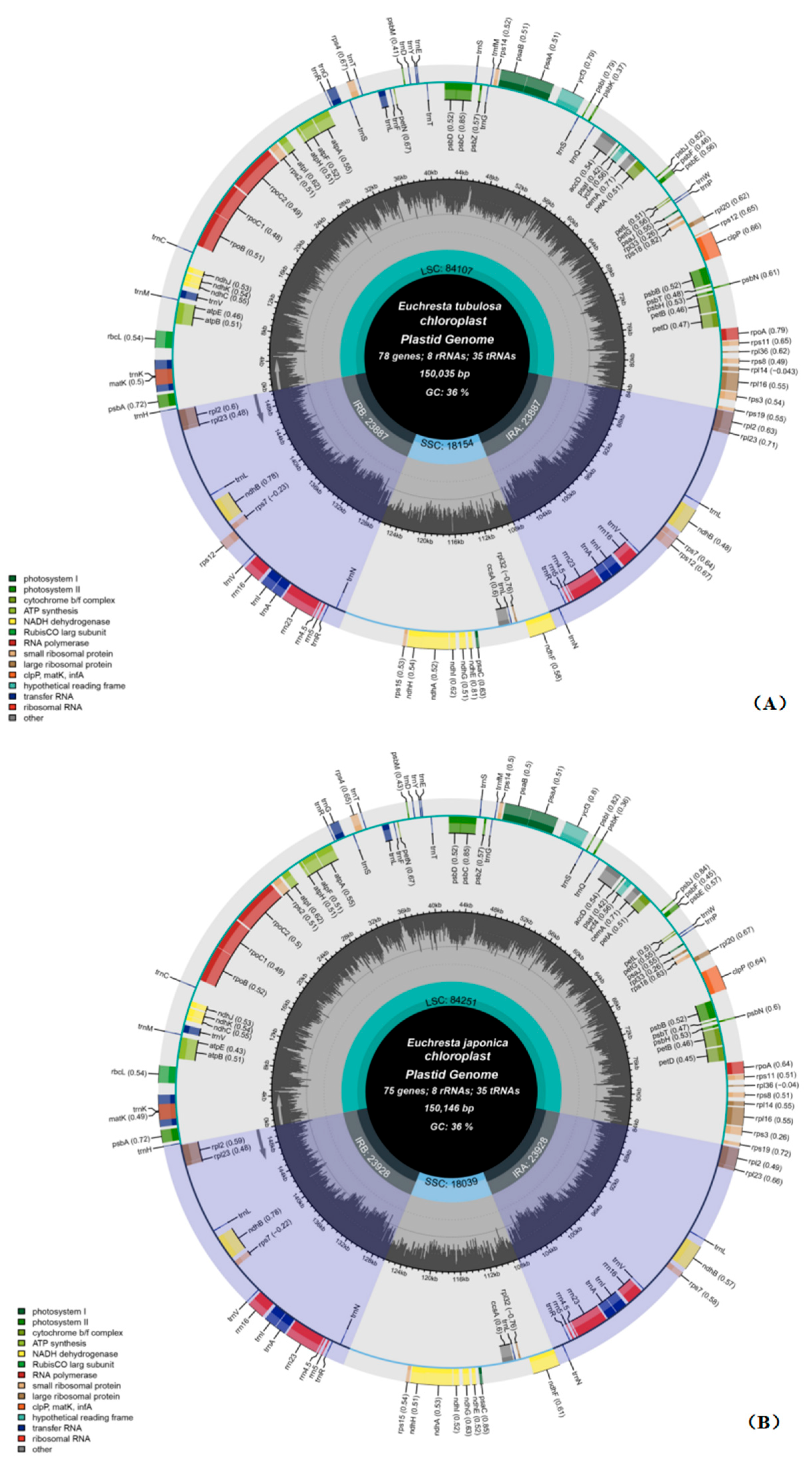 Genes 16 01286 g002 Genes 16 01286 g002