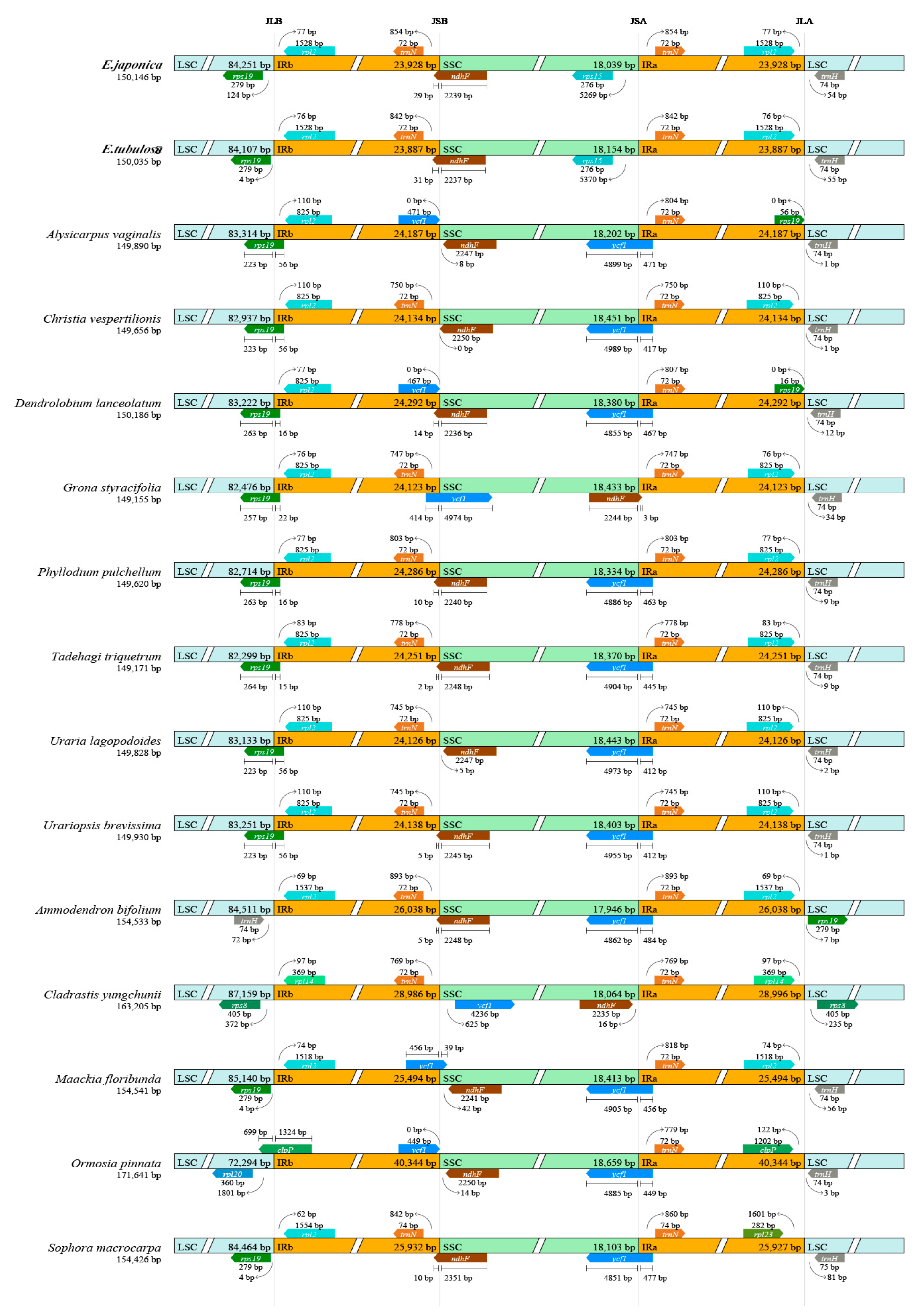 Genes 16 01286 g003 Genes 16 01286 g003