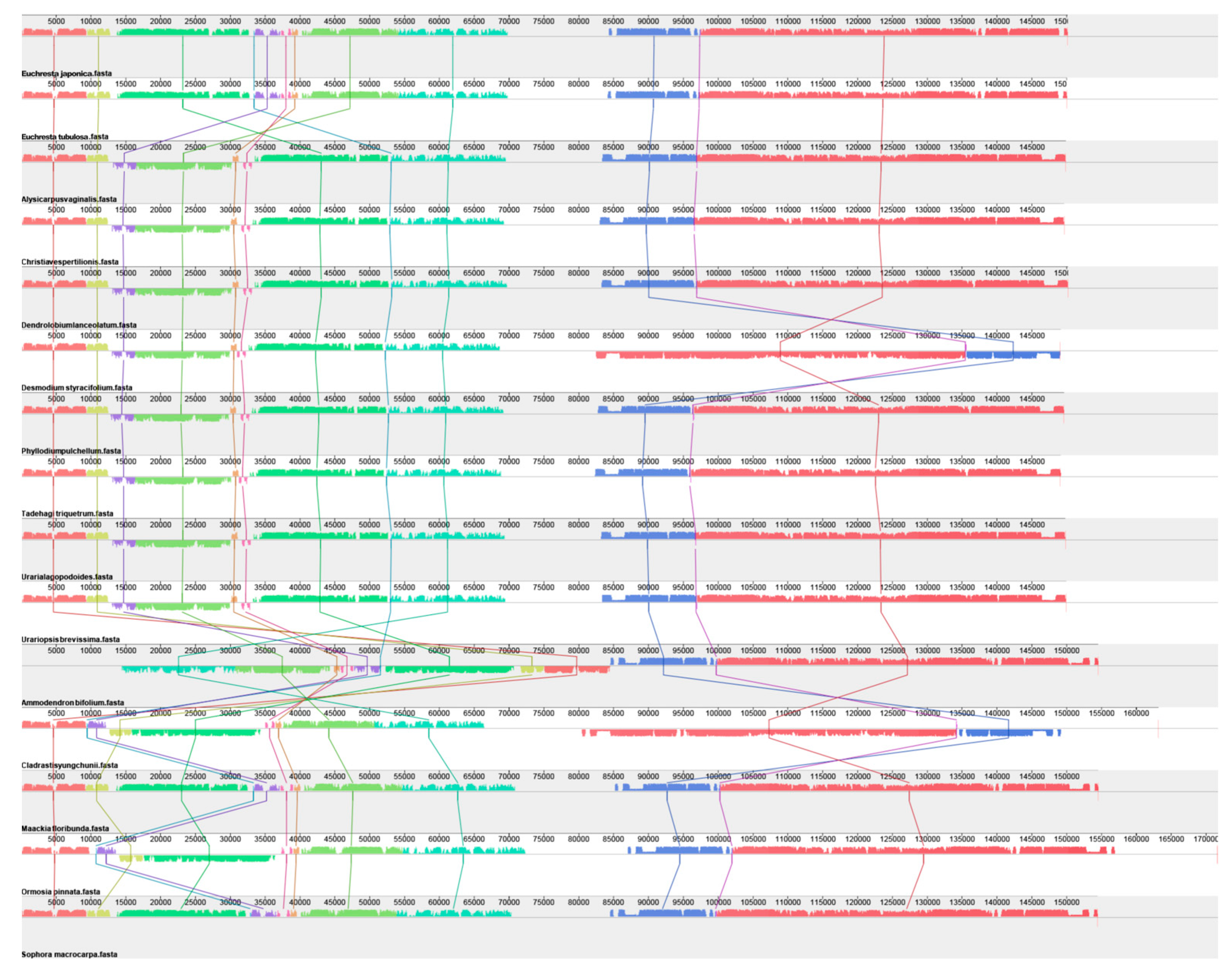 Genes 16 01286 g004 Genes 16 01286 g004