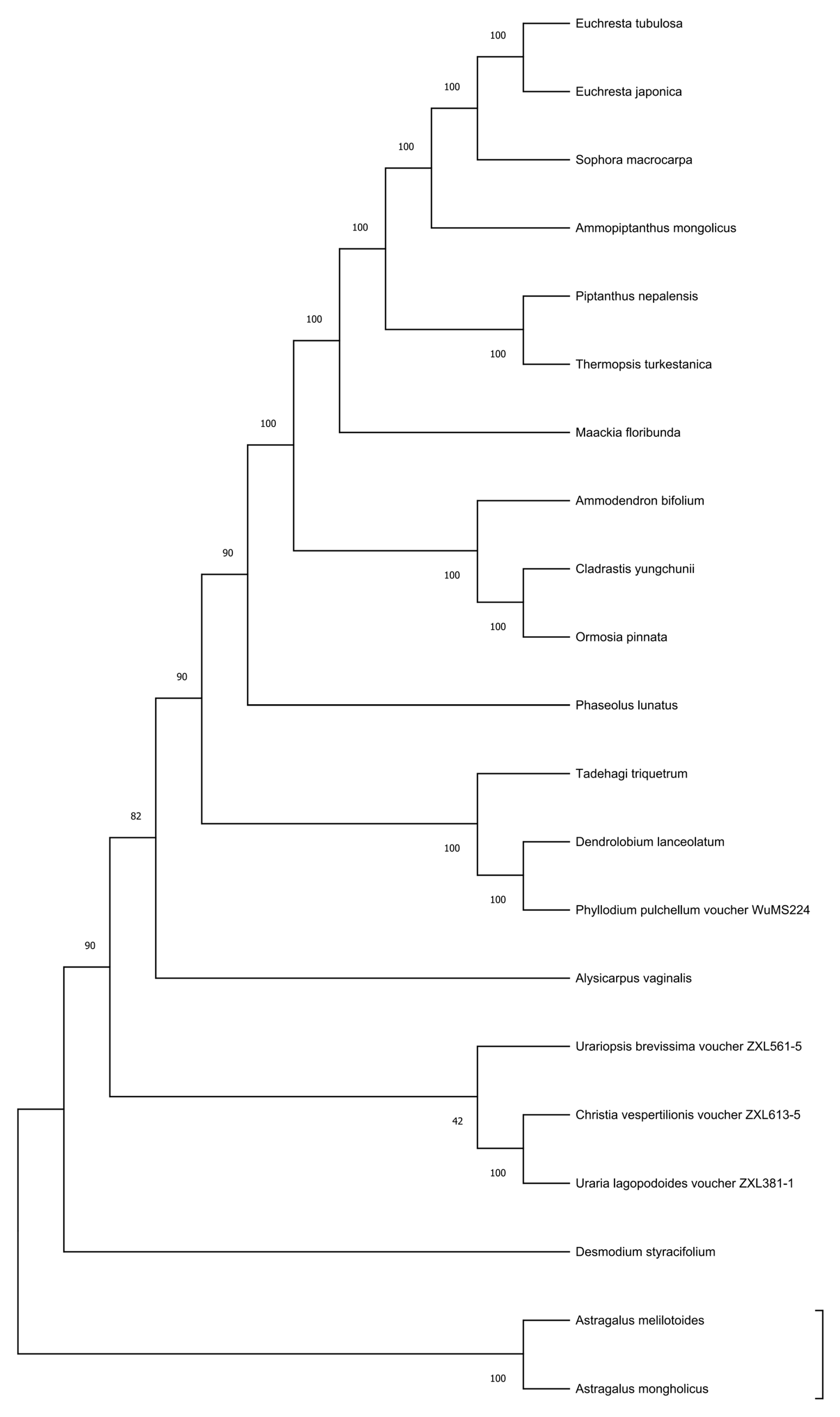 Genes 16 01286 g008 Genes 16 01286 g008