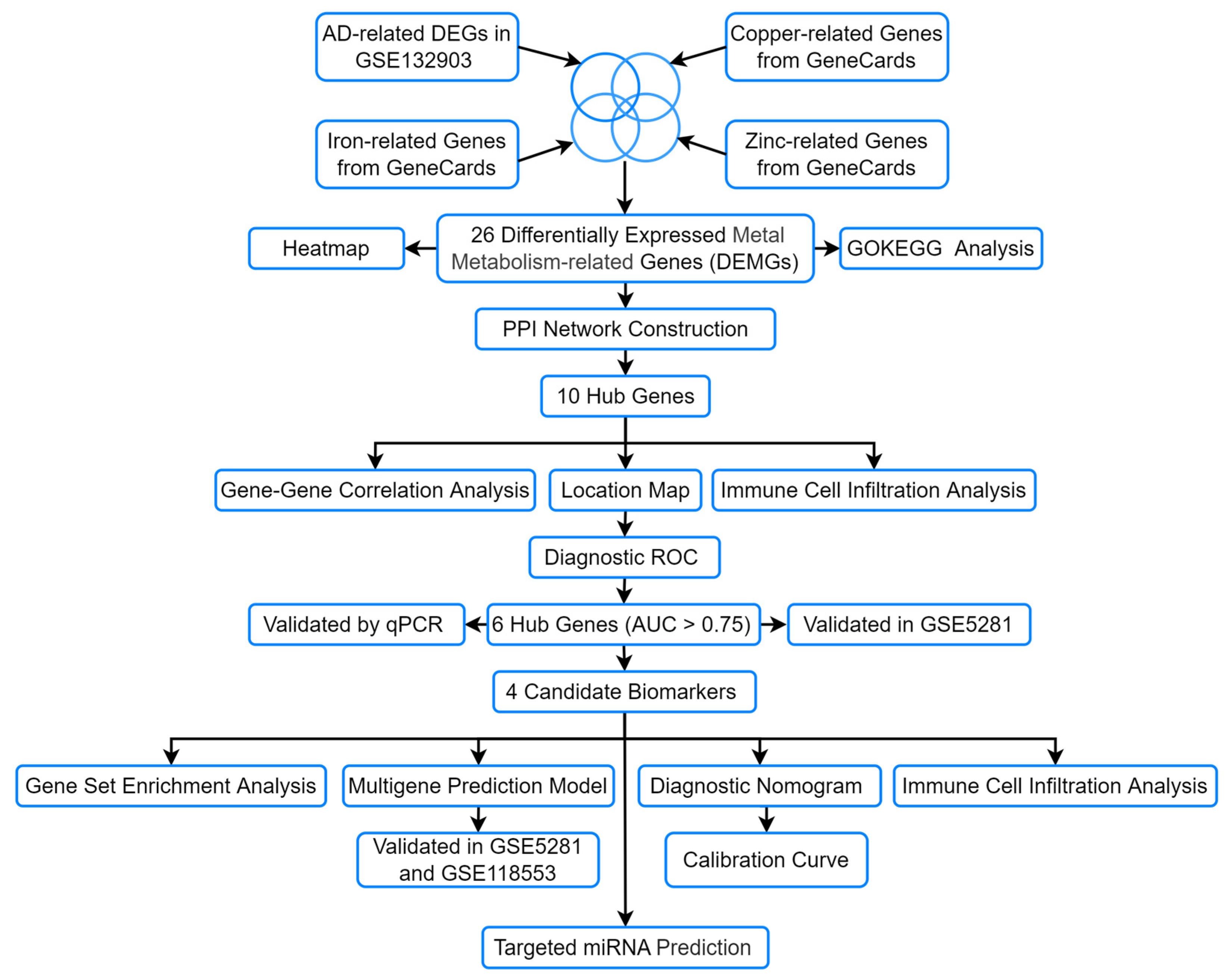 Genes 16 01287 g001 Genes 16 01287 g001