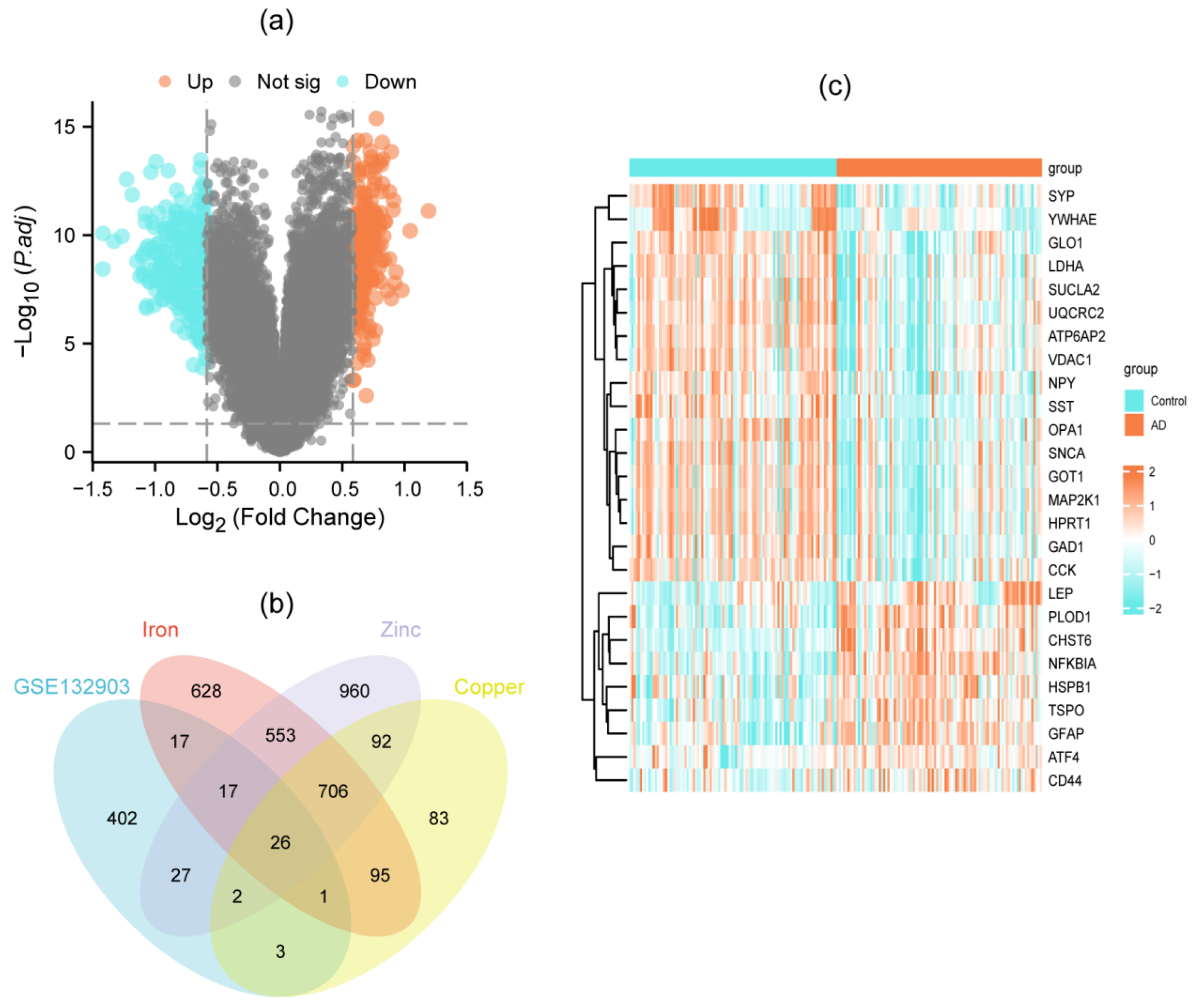 Genes 16 01287 g002 Genes 16 01287 g002