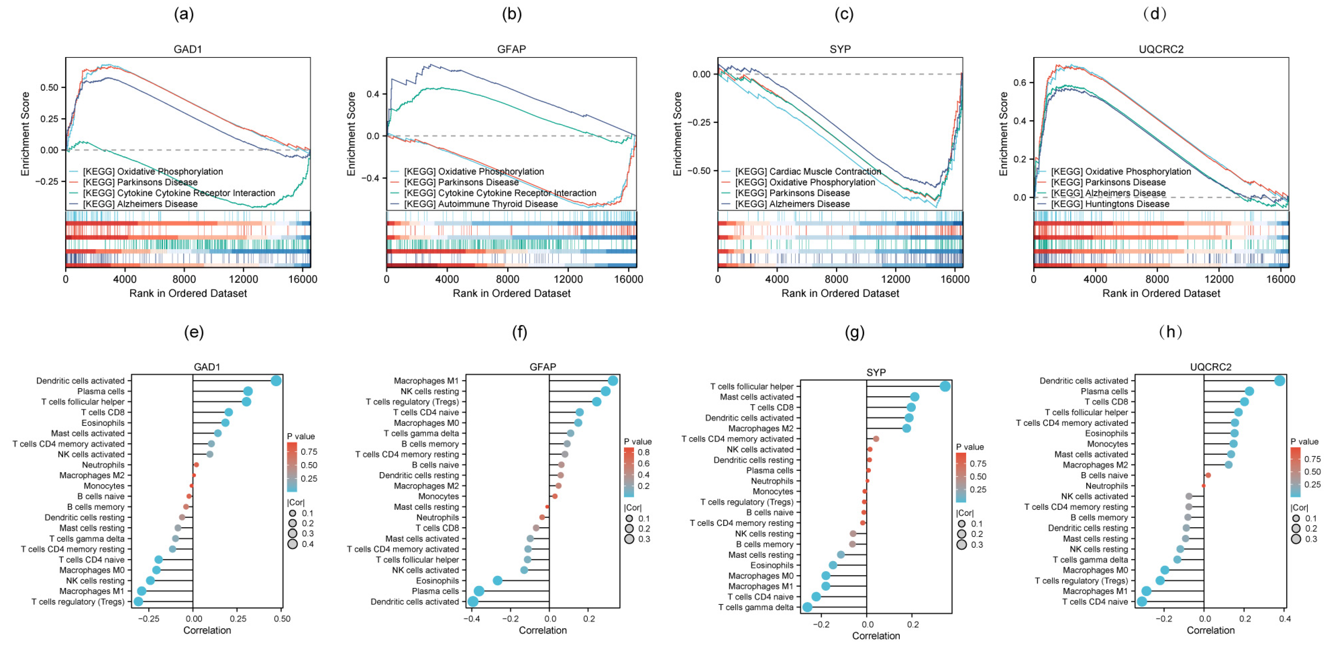 Genes 16 01287 g007 Genes 16 01287 g007