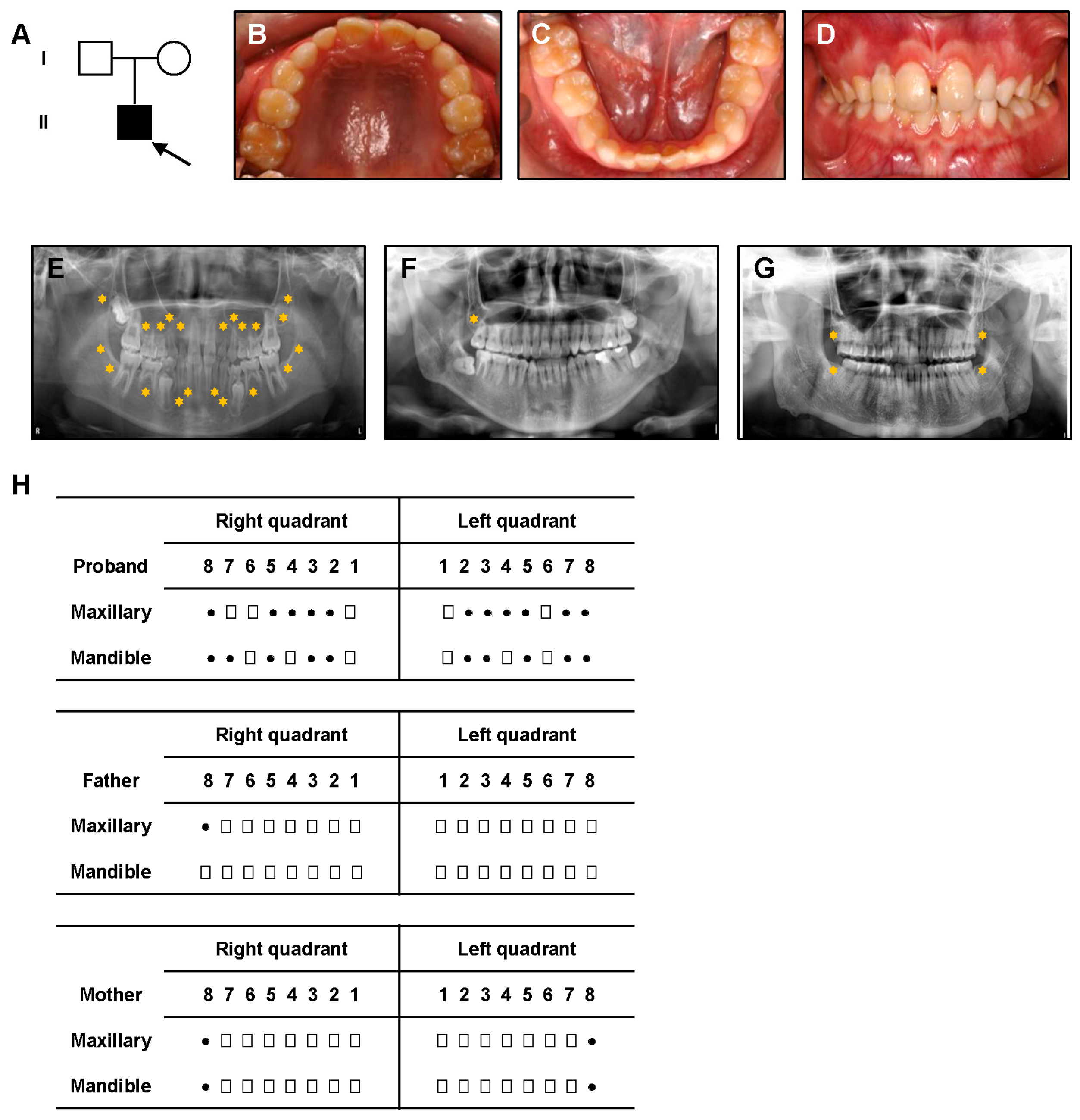 Genes 16 01288 g001 Genes 16 01288 g001