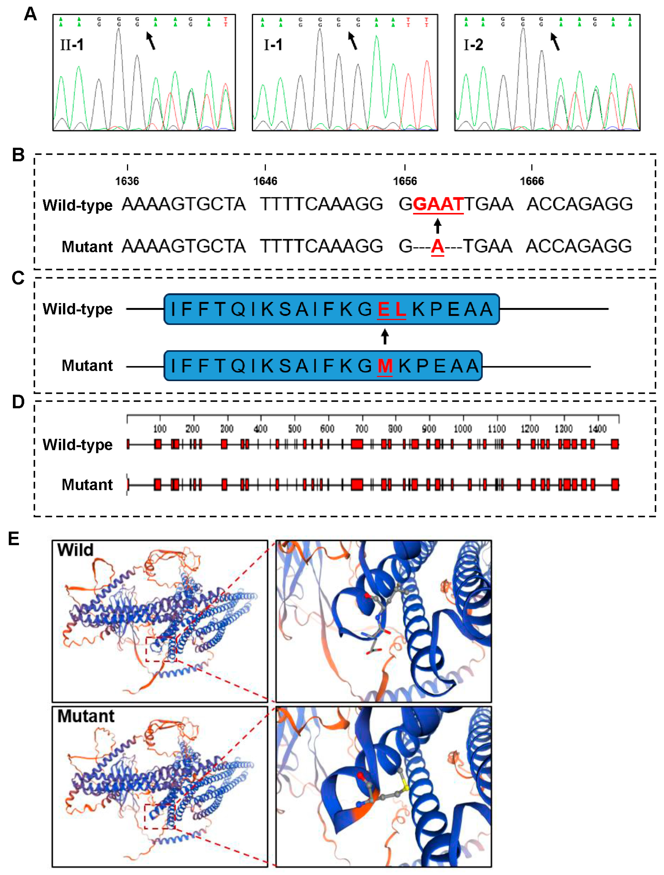 Genes 16 01288 g002 Genes 16 01288 g002