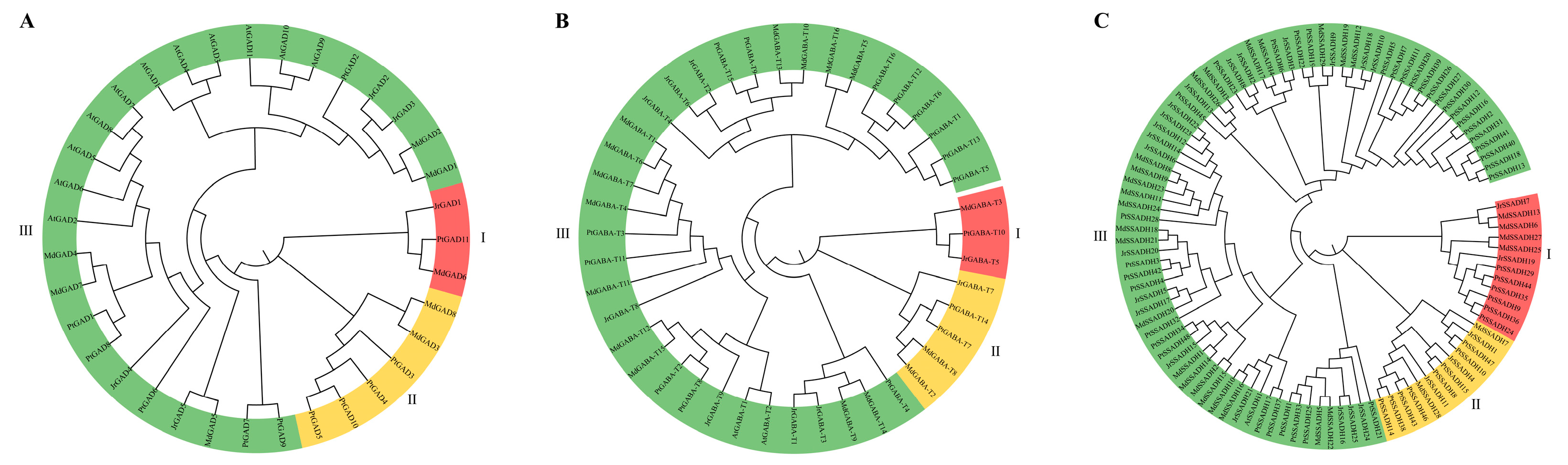 Genes 16 01290 g004 Genes 16 01290 g004