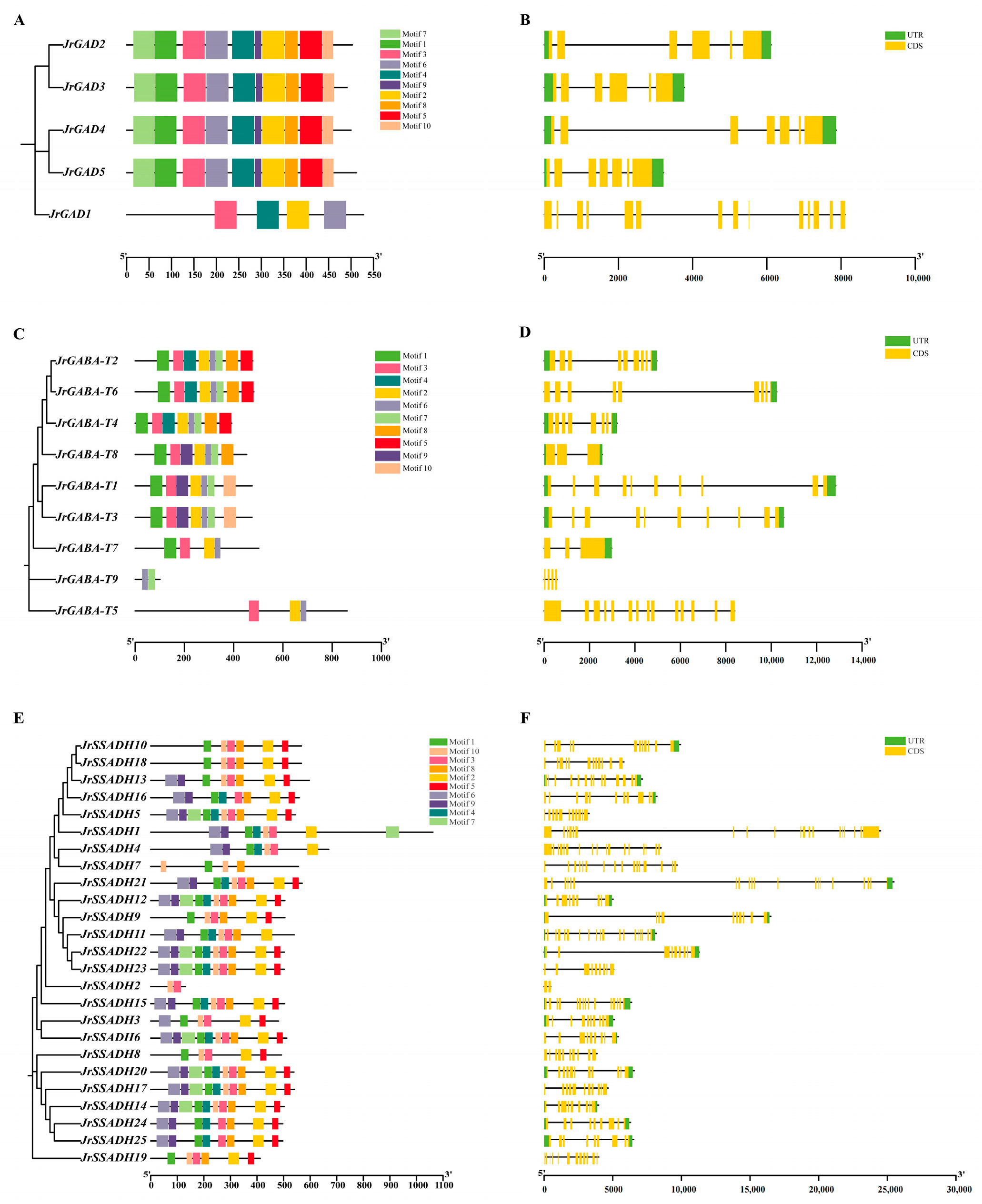 Genes 16 01290 g005 Genes 16 01290 g005