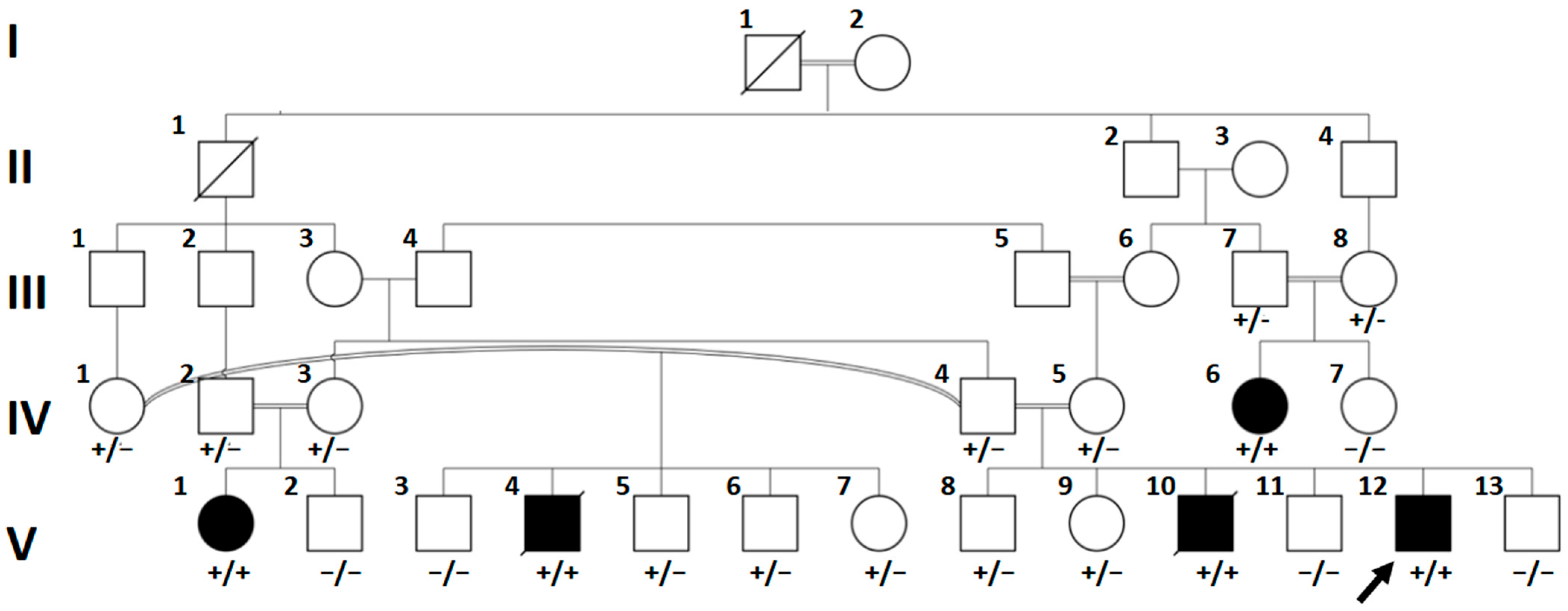 Genes 16 01292 g001 Genes 16 01292 g001