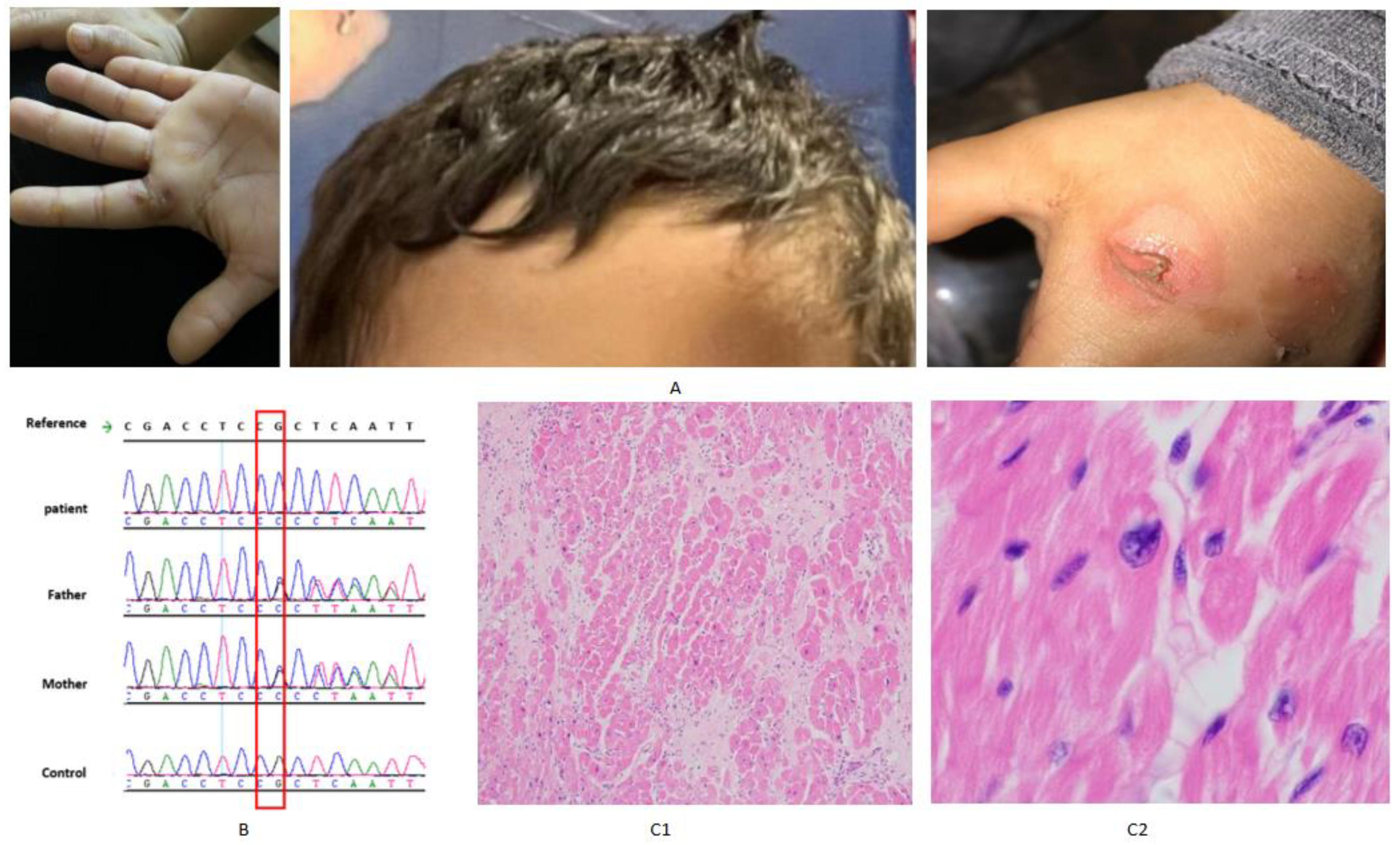 Genes 16 01292 g002 Genes 16 01292 g002