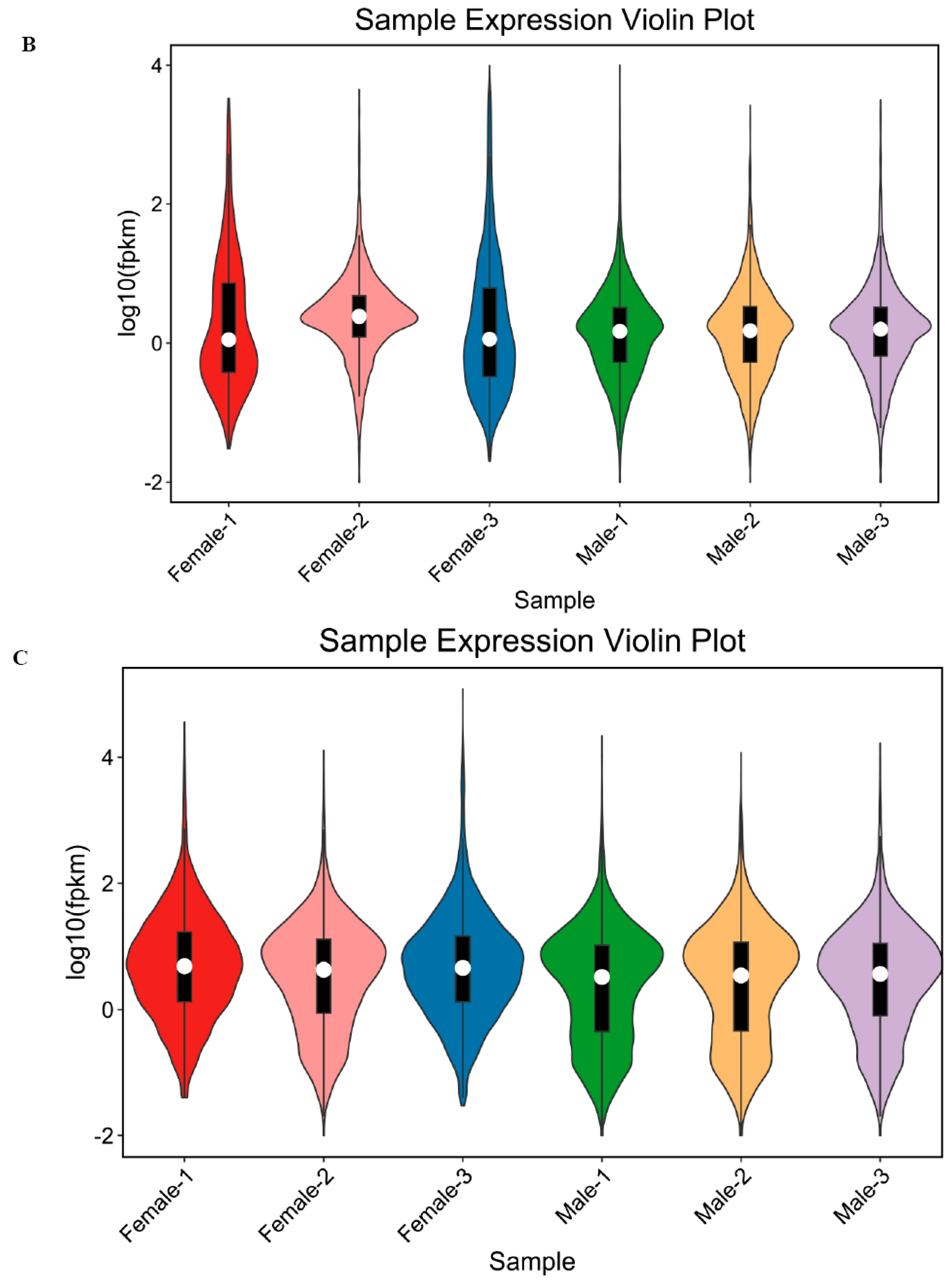 Genes 16 01293 g001b Genes 16 01293 g001b