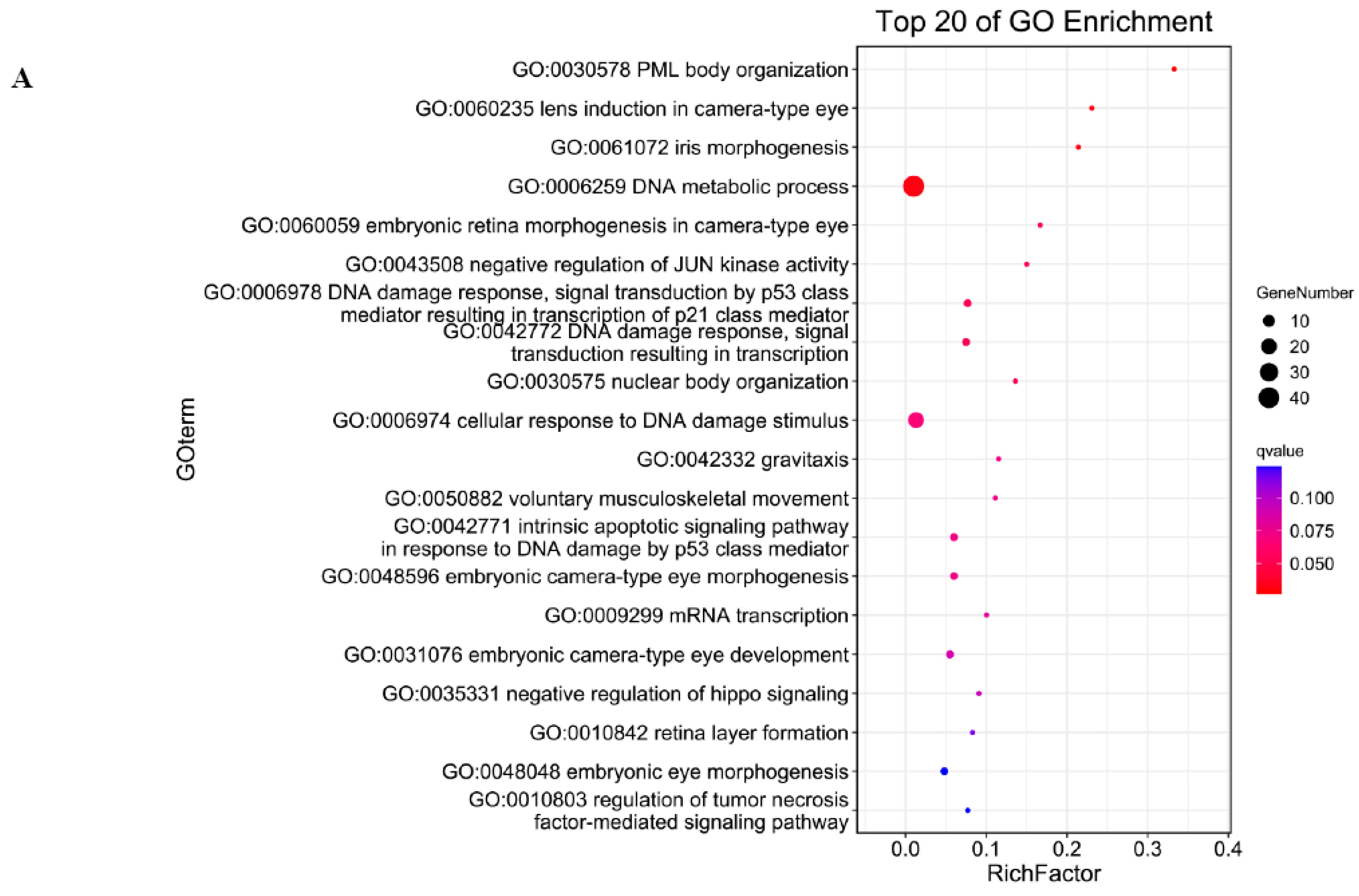 Genes 16 01293 g003a Genes 16 01293 g003a