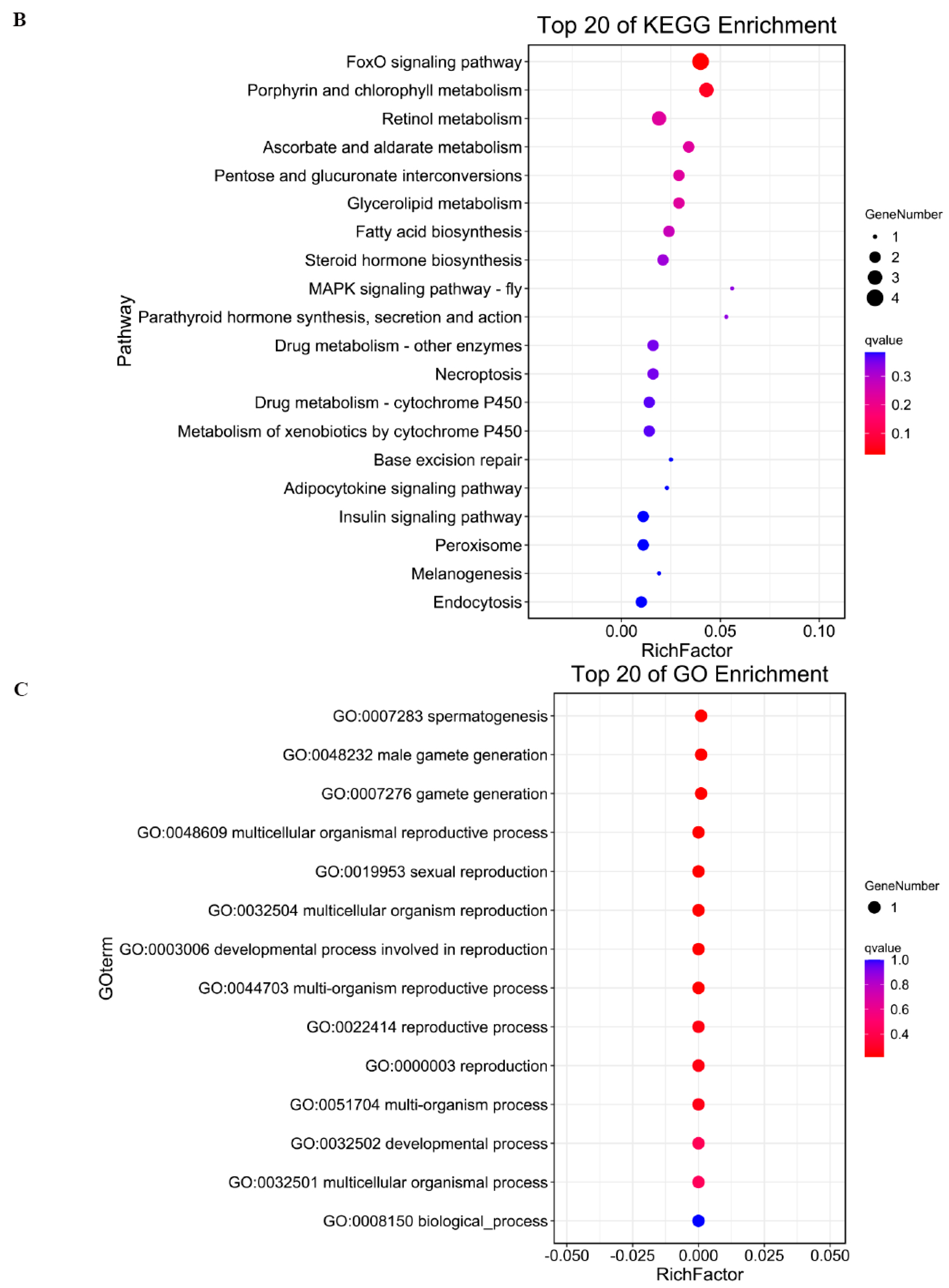 Genes 16 01293 g003b Genes 16 01293 g003b