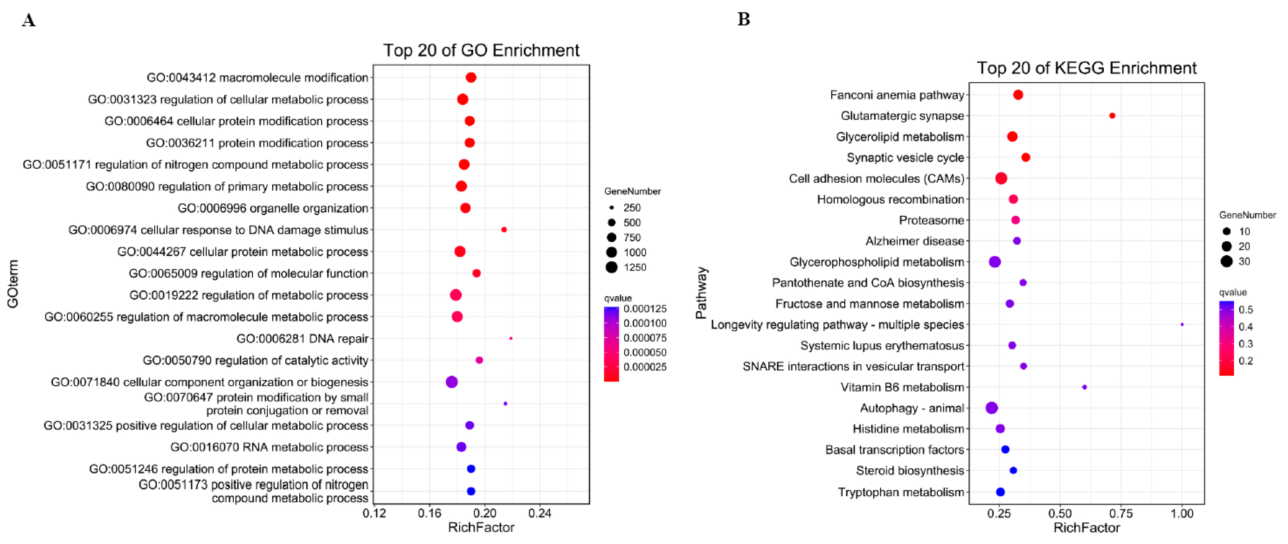 Genes 16 01293 g004a Genes 16 01293 g004a