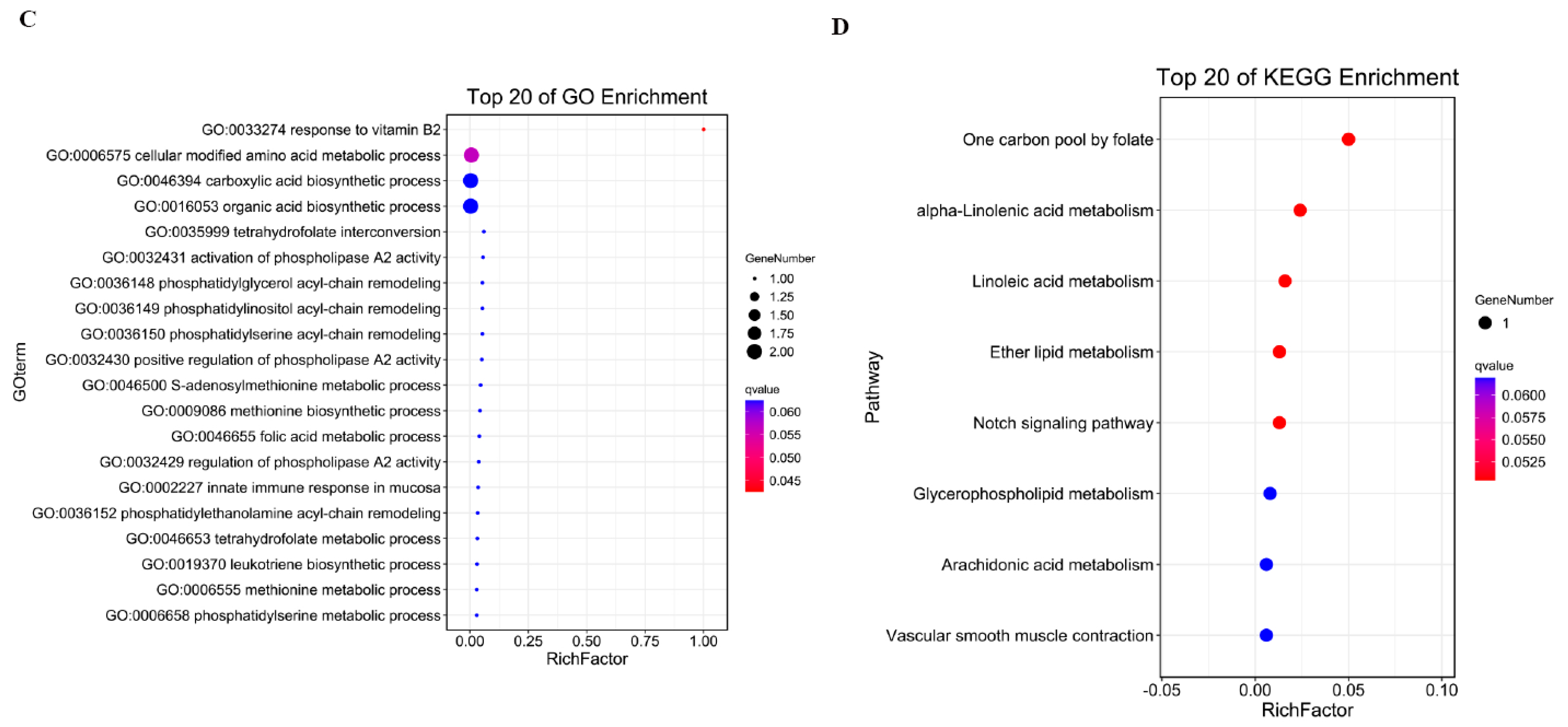 Genes 16 01293 g004b Genes 16 01293 g004b