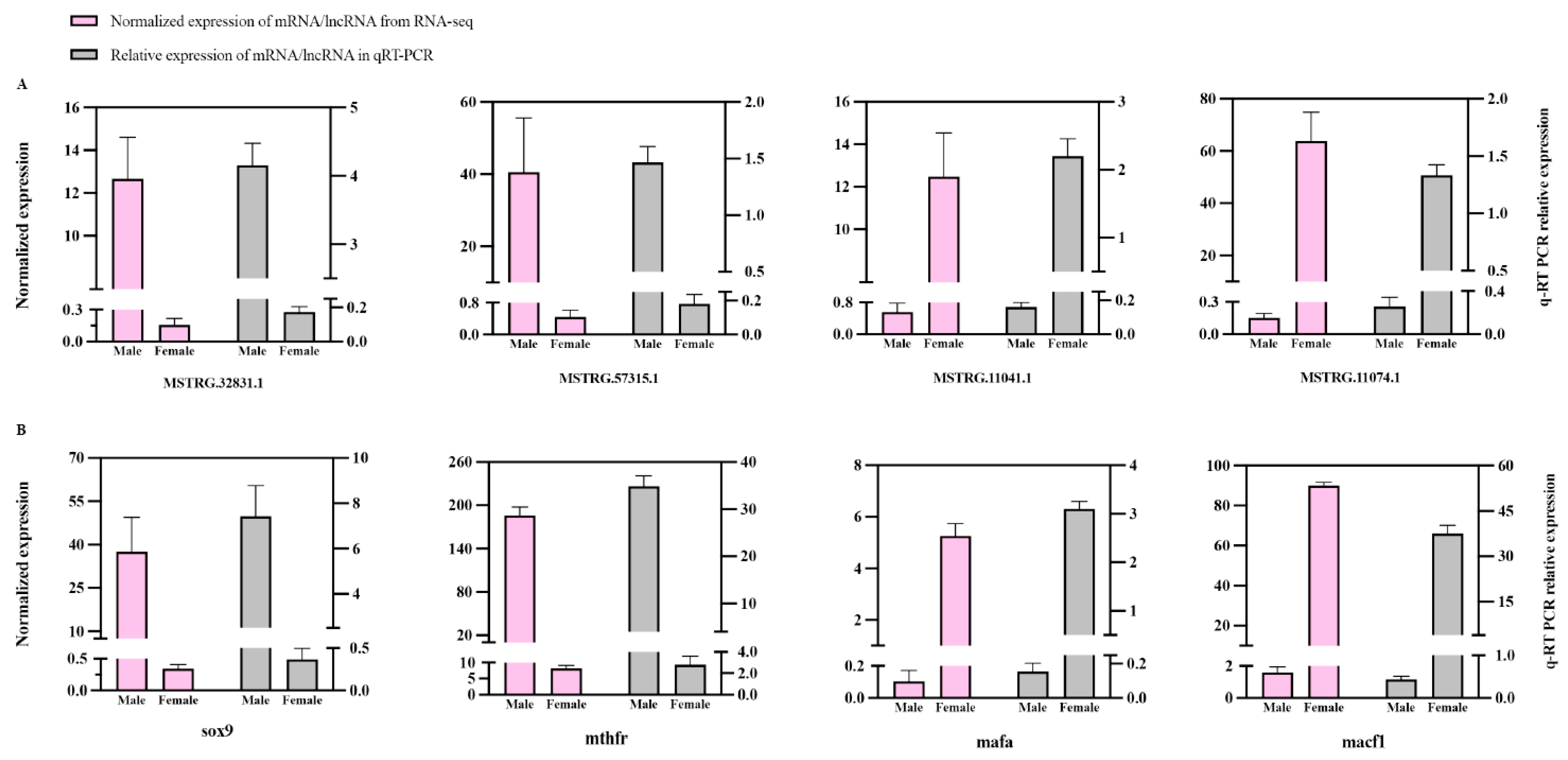 Genes 16 01293 g006 Genes 16 01293 g006