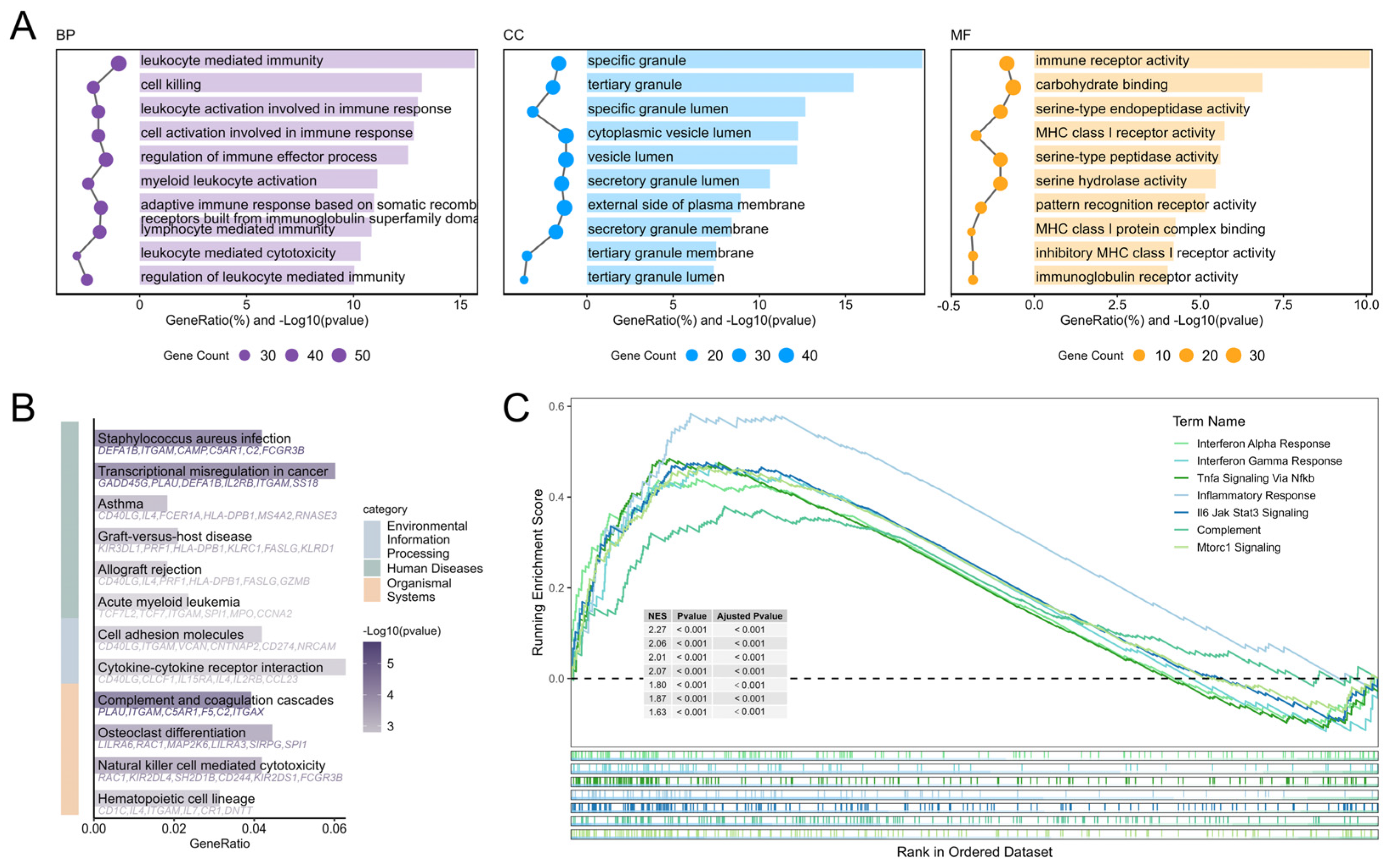 Genes 16 01294 g003