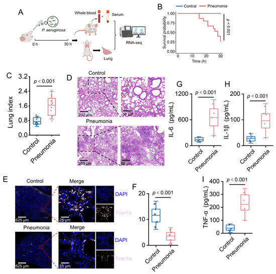 FCER1A Downregulation in Infectious Pneumonia: A Multi-Modal Study