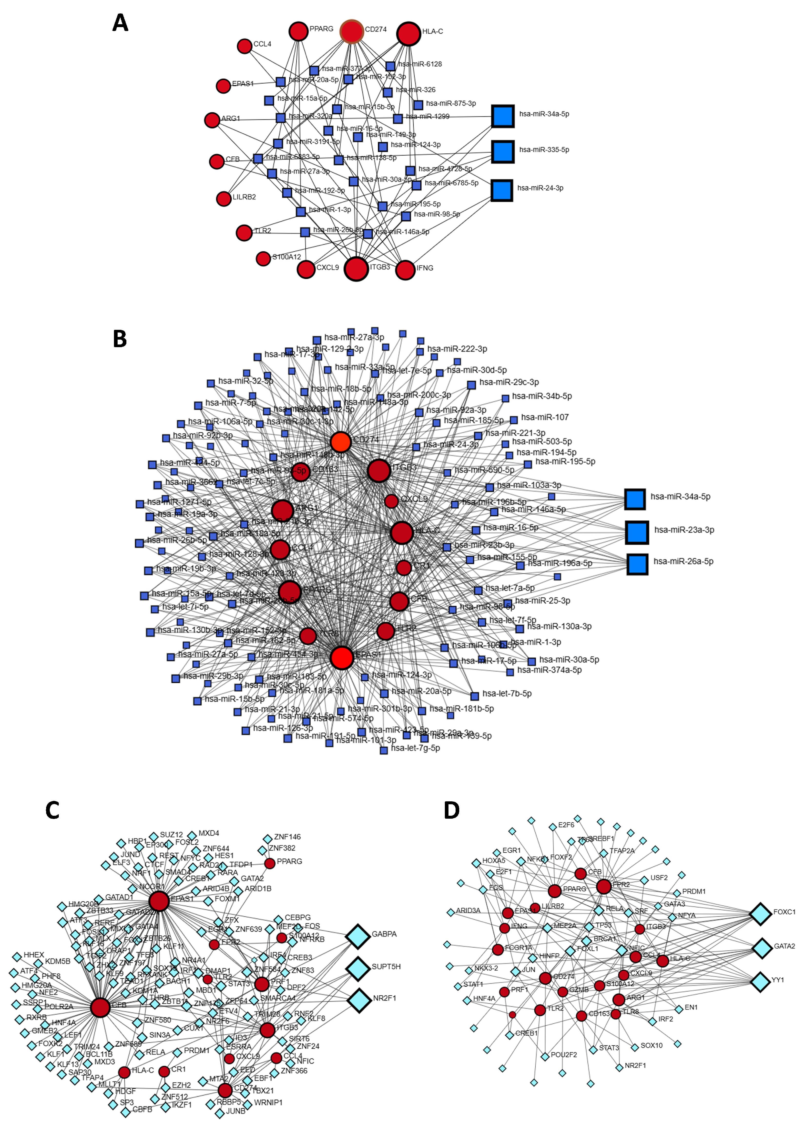 Genes 16 01296 g006 Genes 16 01296 g006