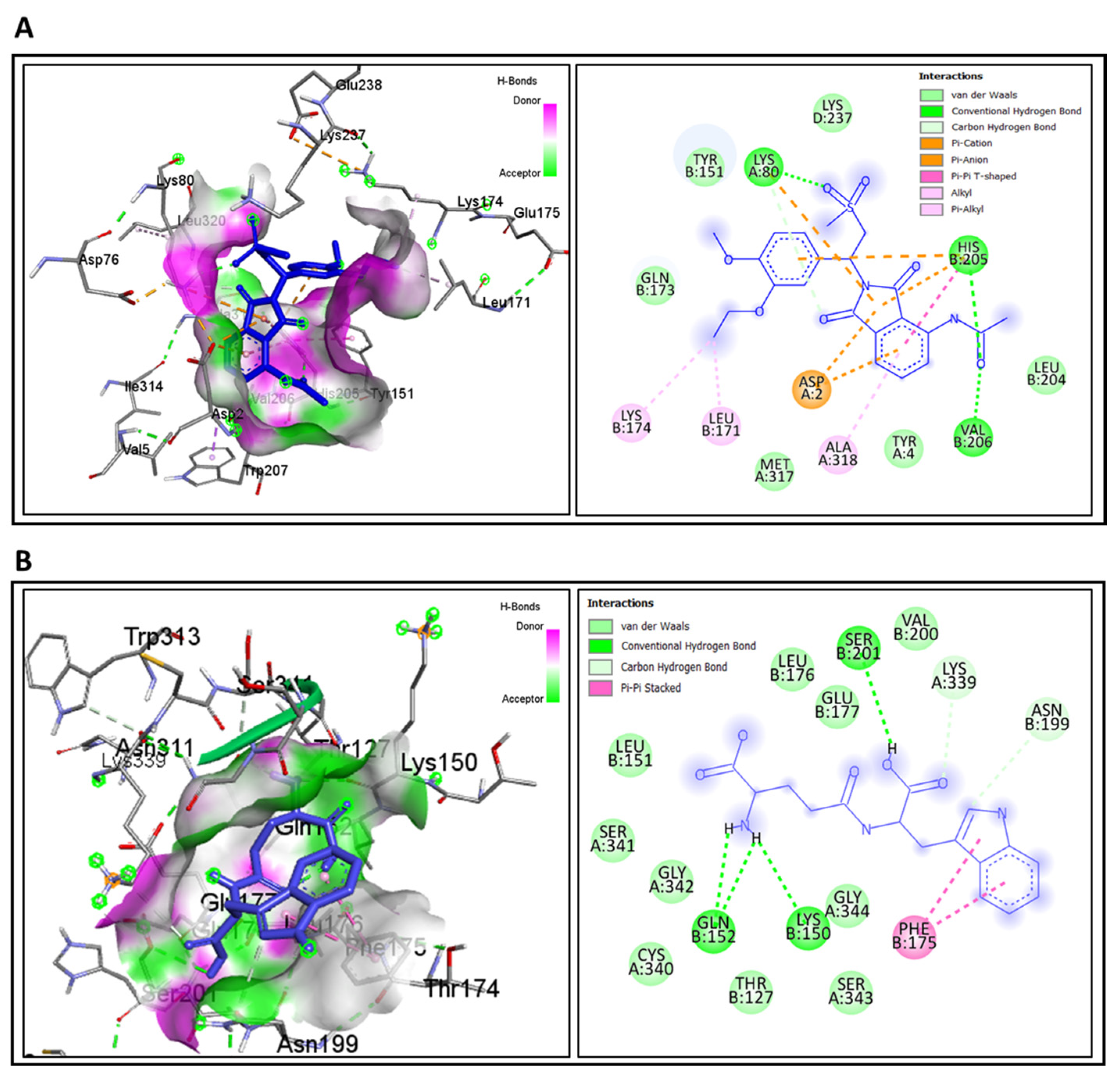 Genes 16 01296 g008 Genes 16 01296 g008