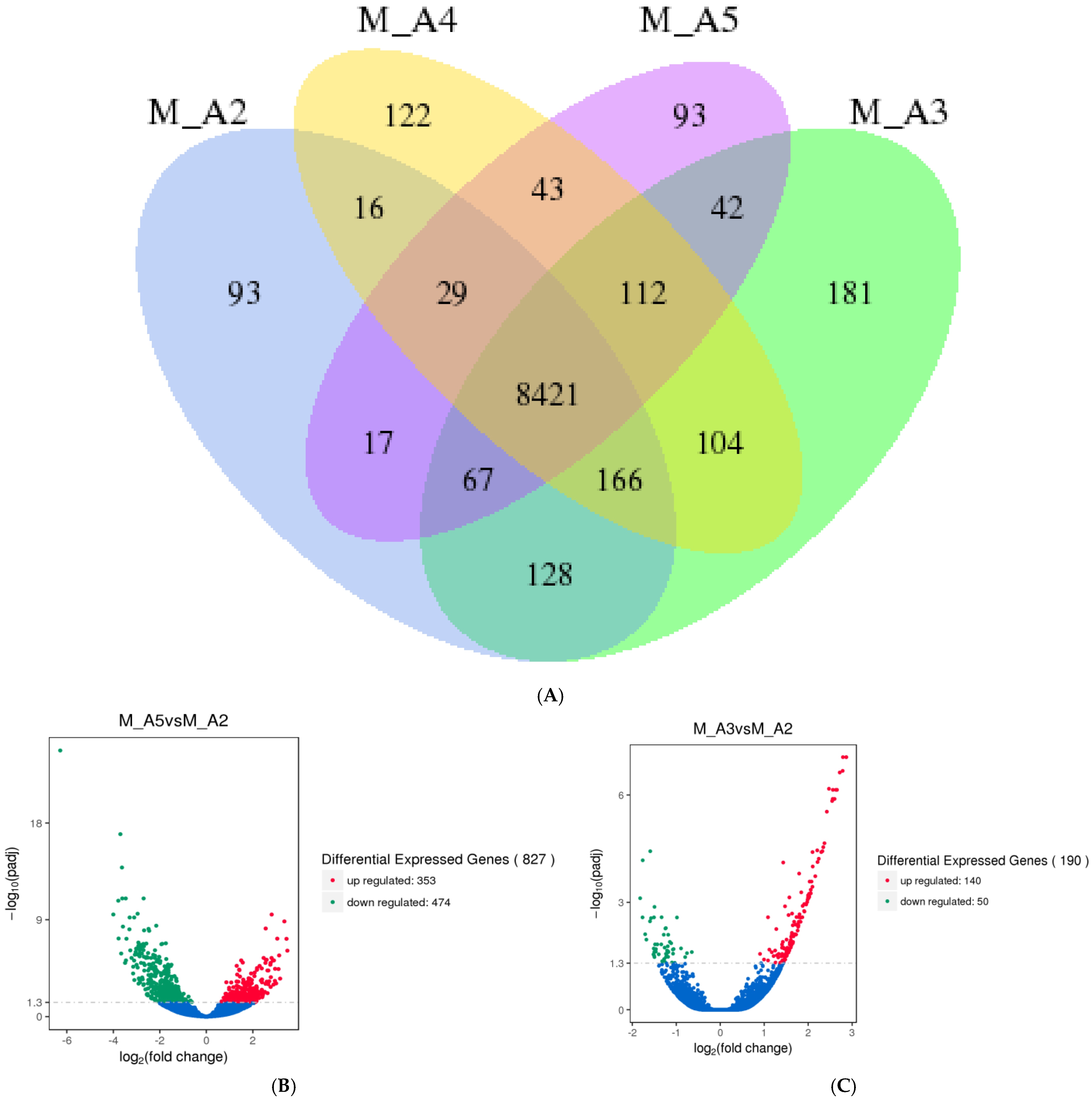 Genes 16 01306 g001a