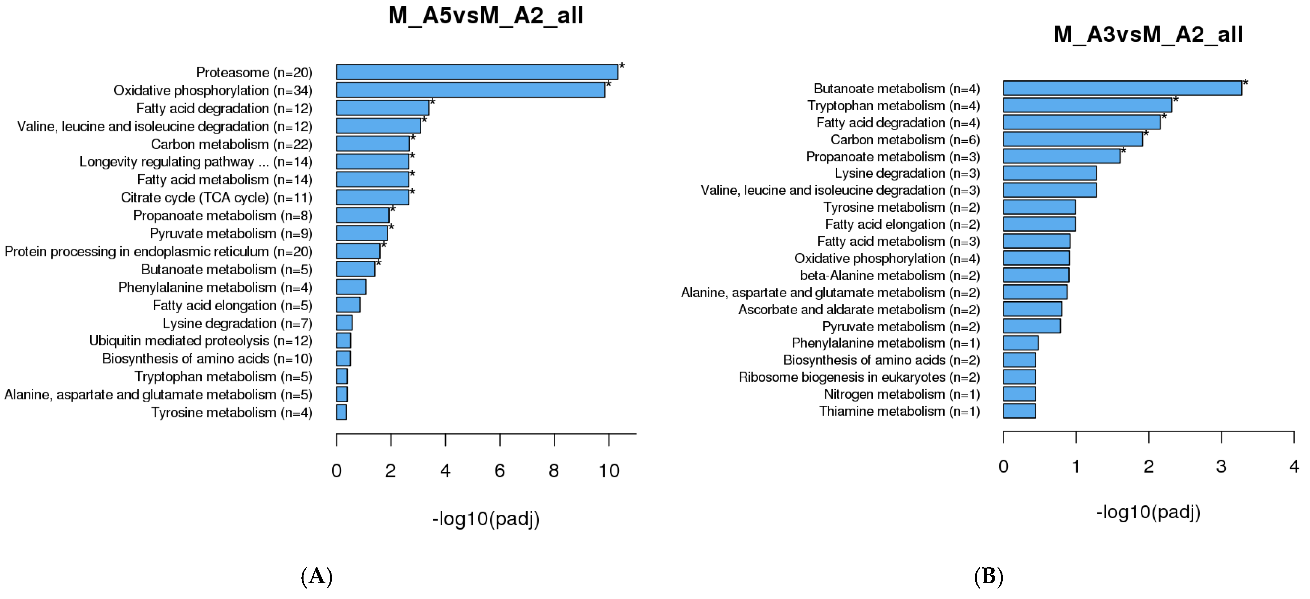 Genes 16 01306 g006a