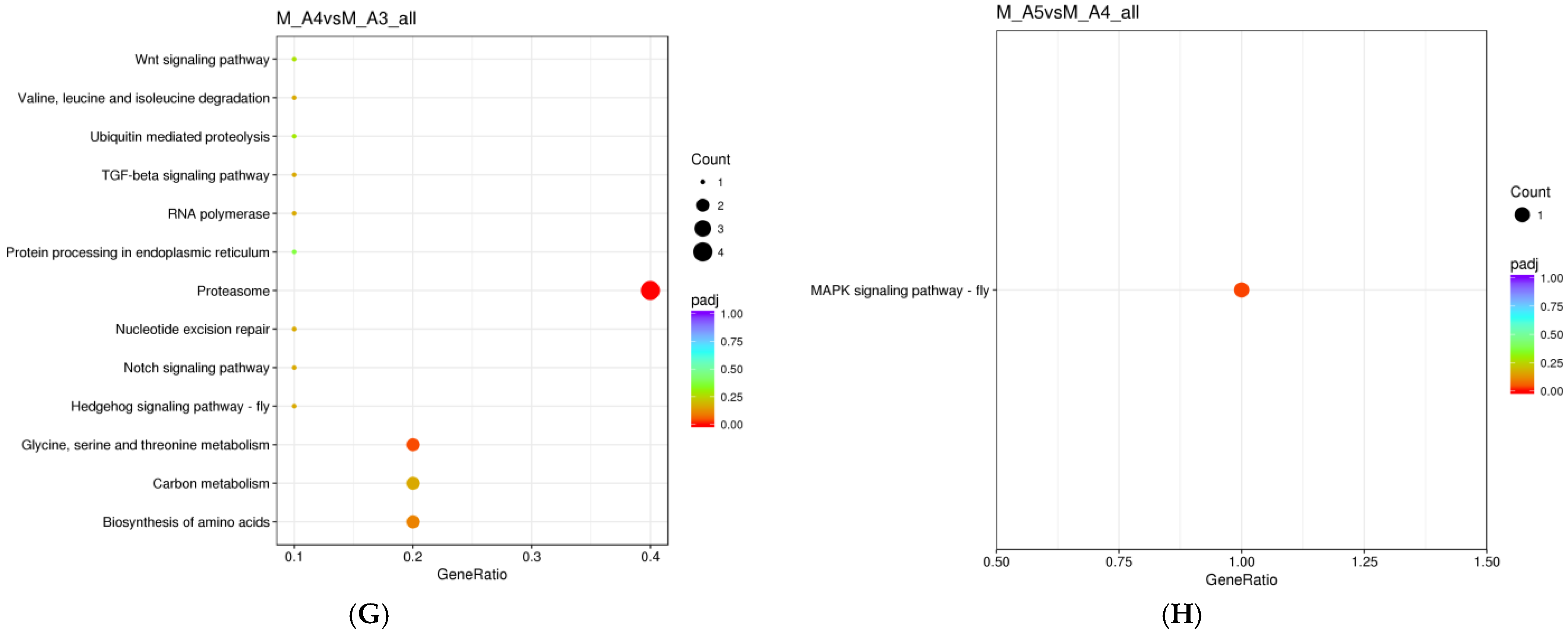 Genes 16 01306 g006c