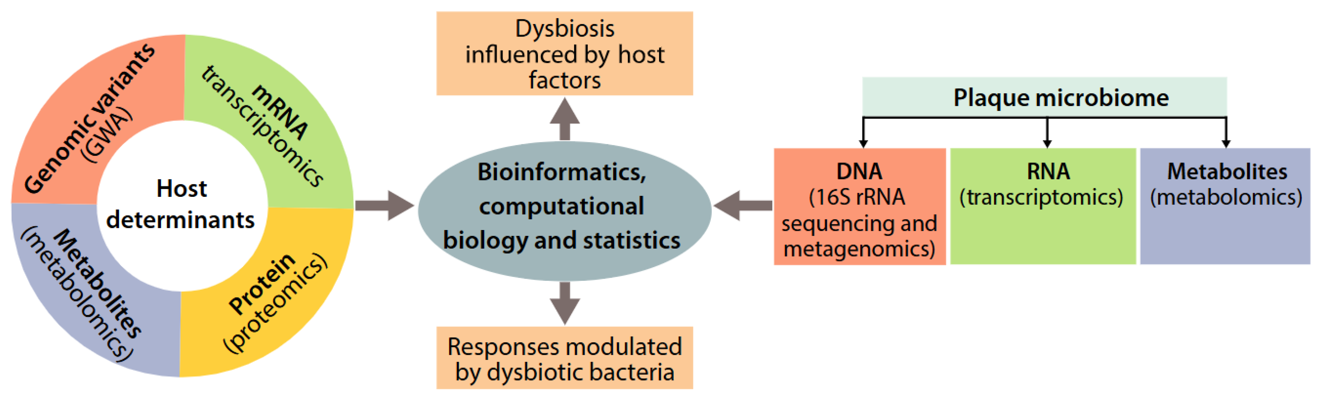Genes 16 01308 g002