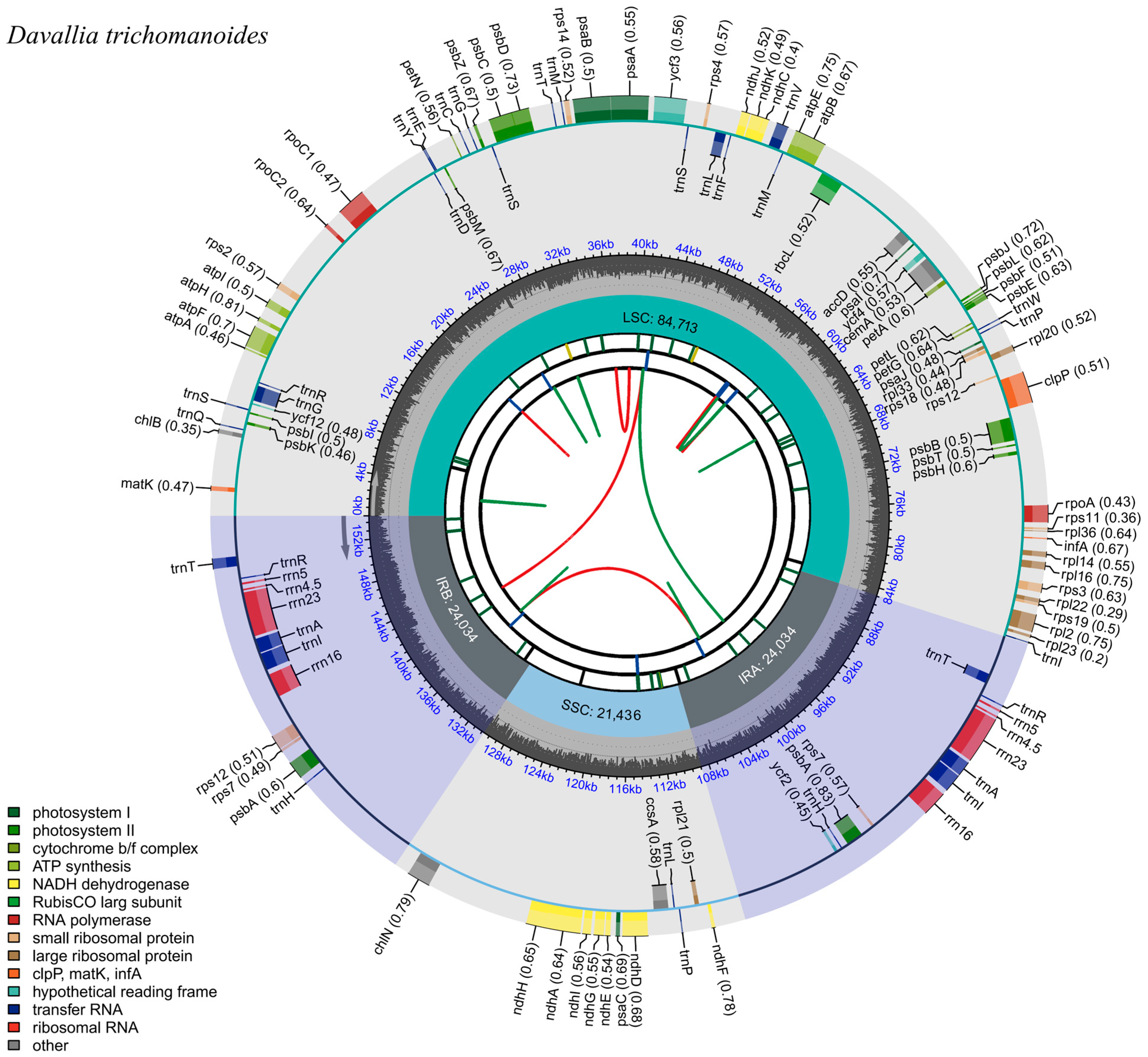 Genes 16 01310 g001 Genes 16 01310 g001