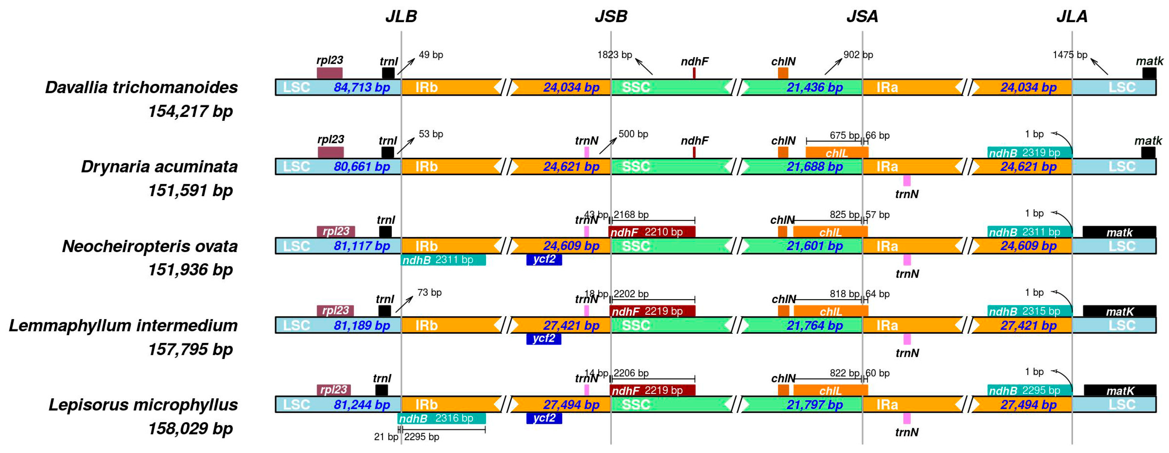 Genes 16 01310 g004 Genes 16 01310 g004
