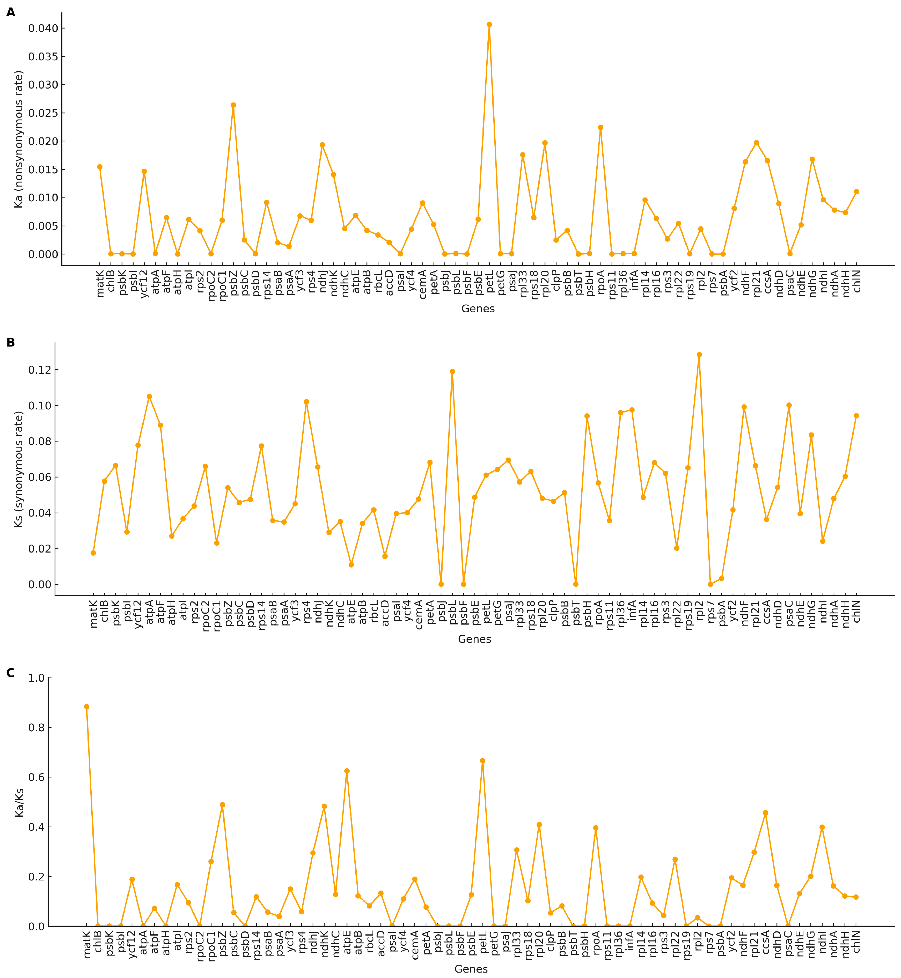 Genes 16 01310 g007 Genes 16 01310 g007