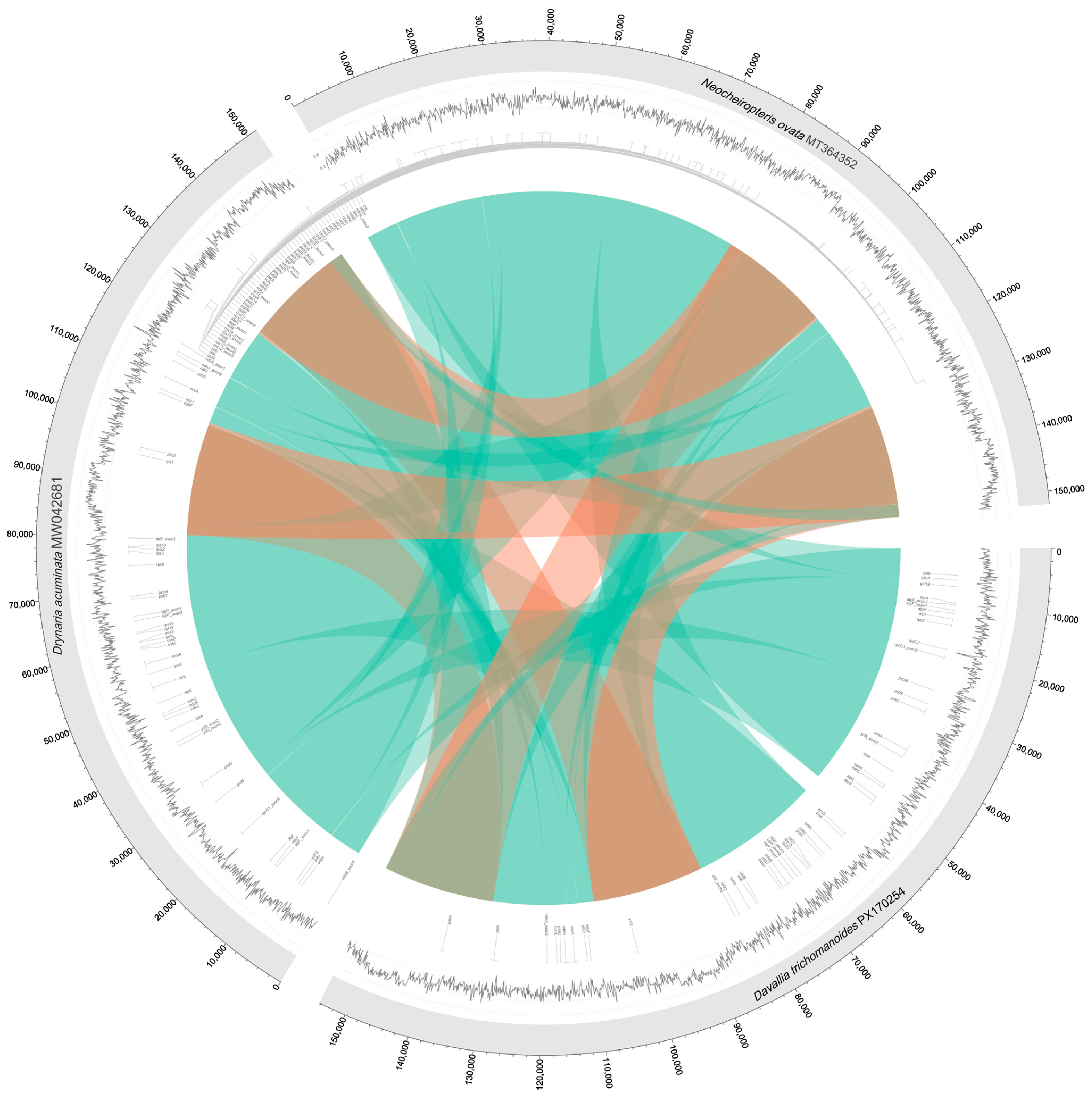 Genes 16 01310 g008 Genes 16 01310 g008