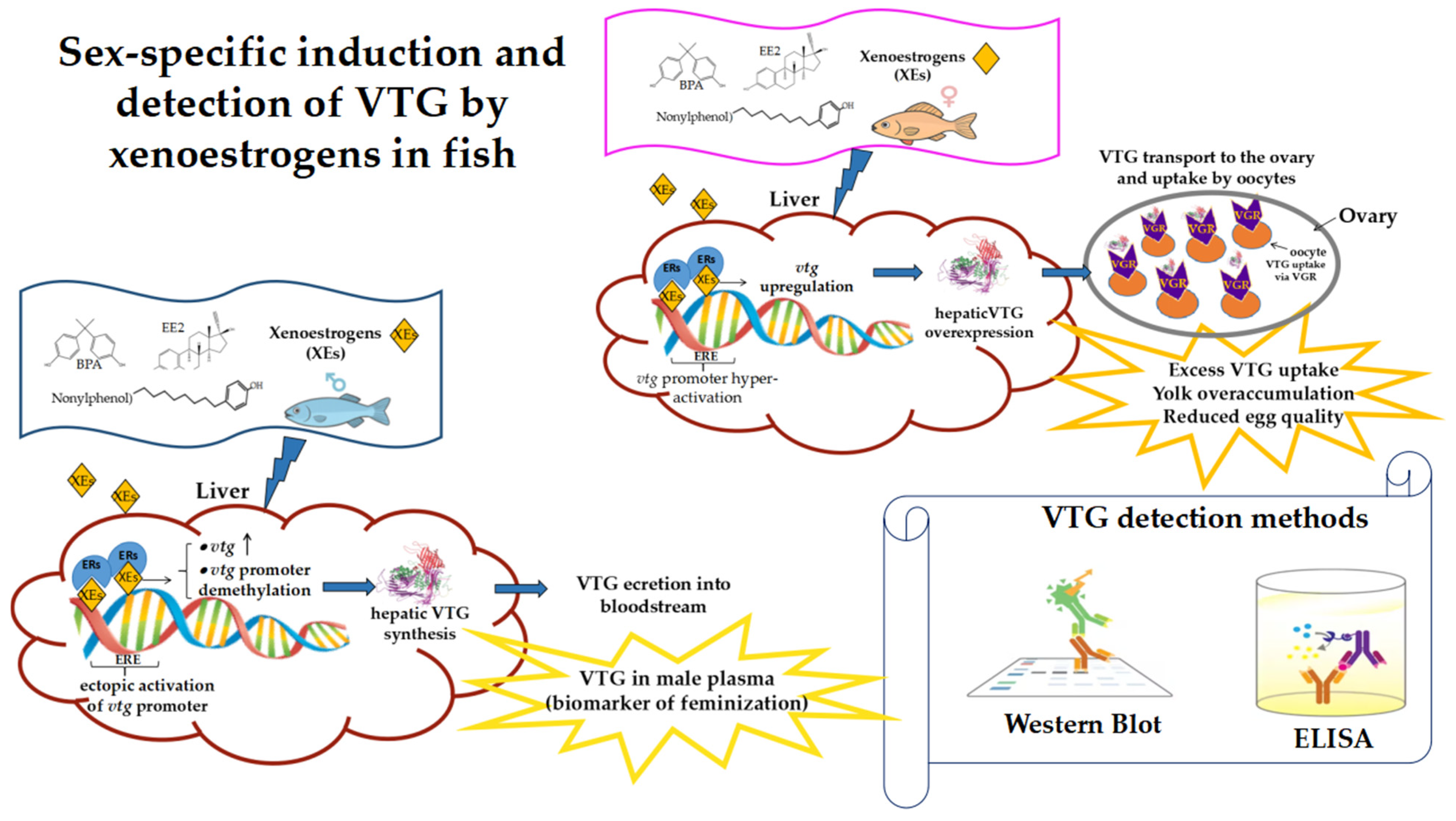 Genes 16 01317 g001 Genes 16 01317 g001