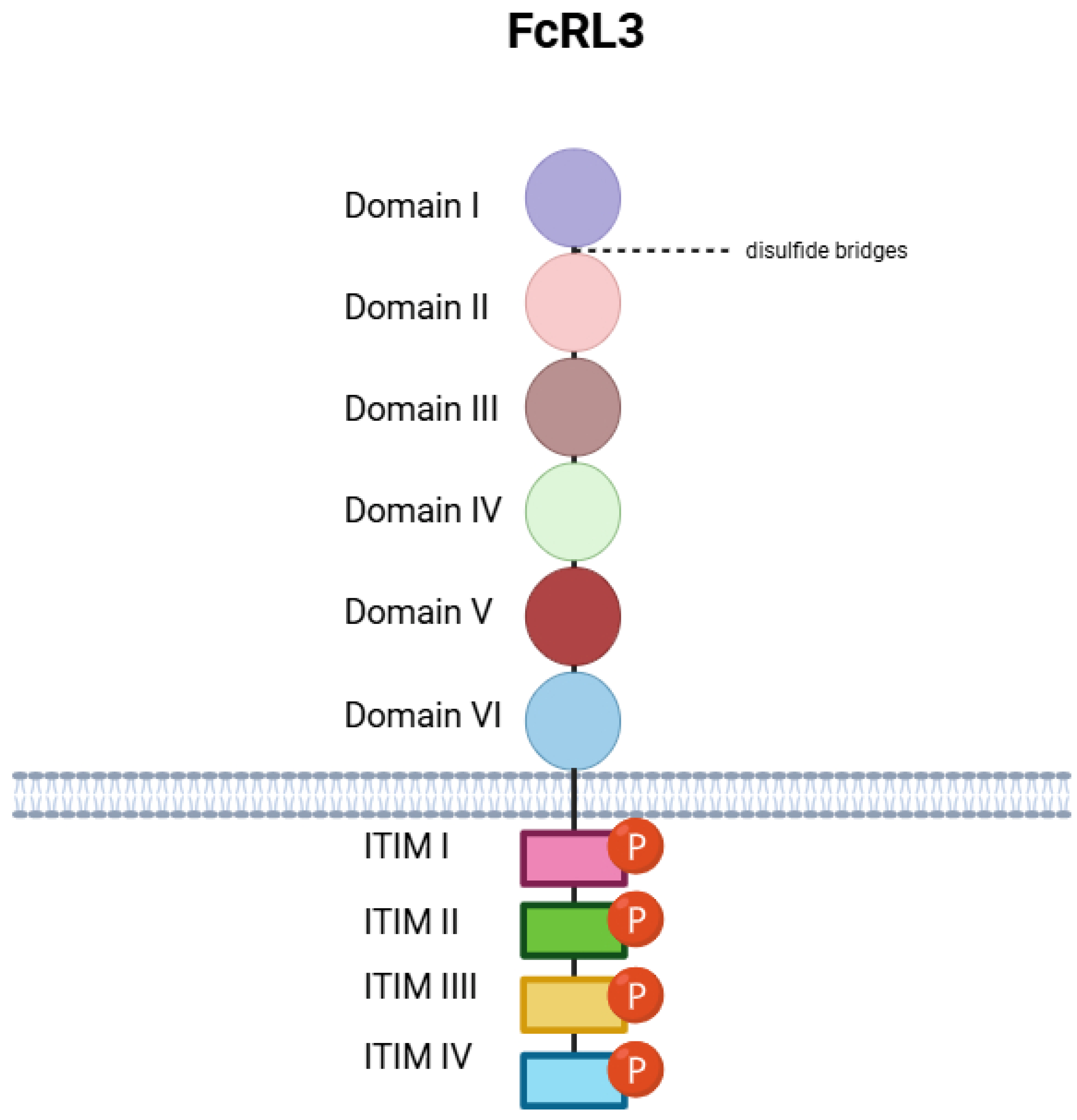 Genes 16 01318 g001 Genes 16 01318 g001