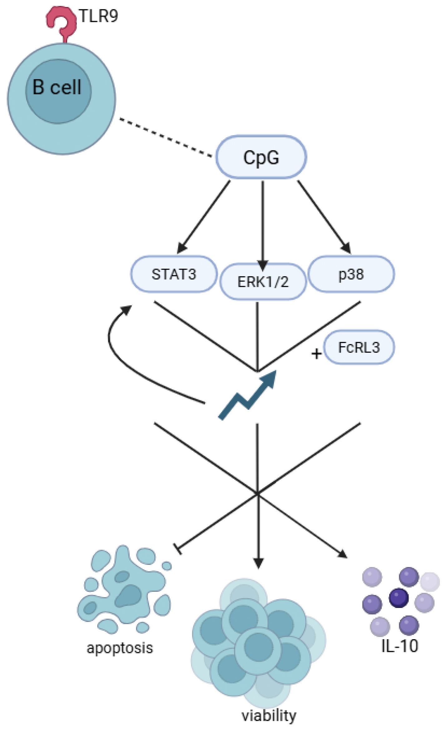 Genes 16 01318 g004 Genes 16 01318 g004