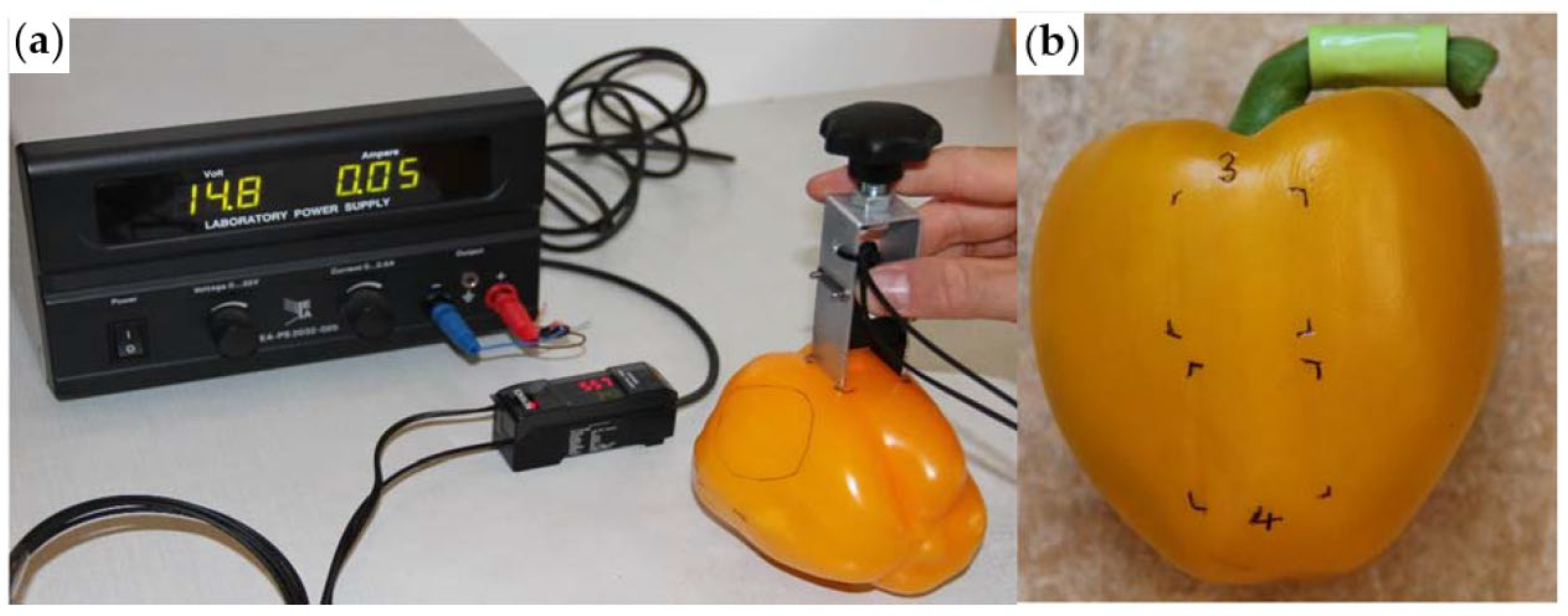 Genes 16 01319 g003 Genes 16 01319 g003