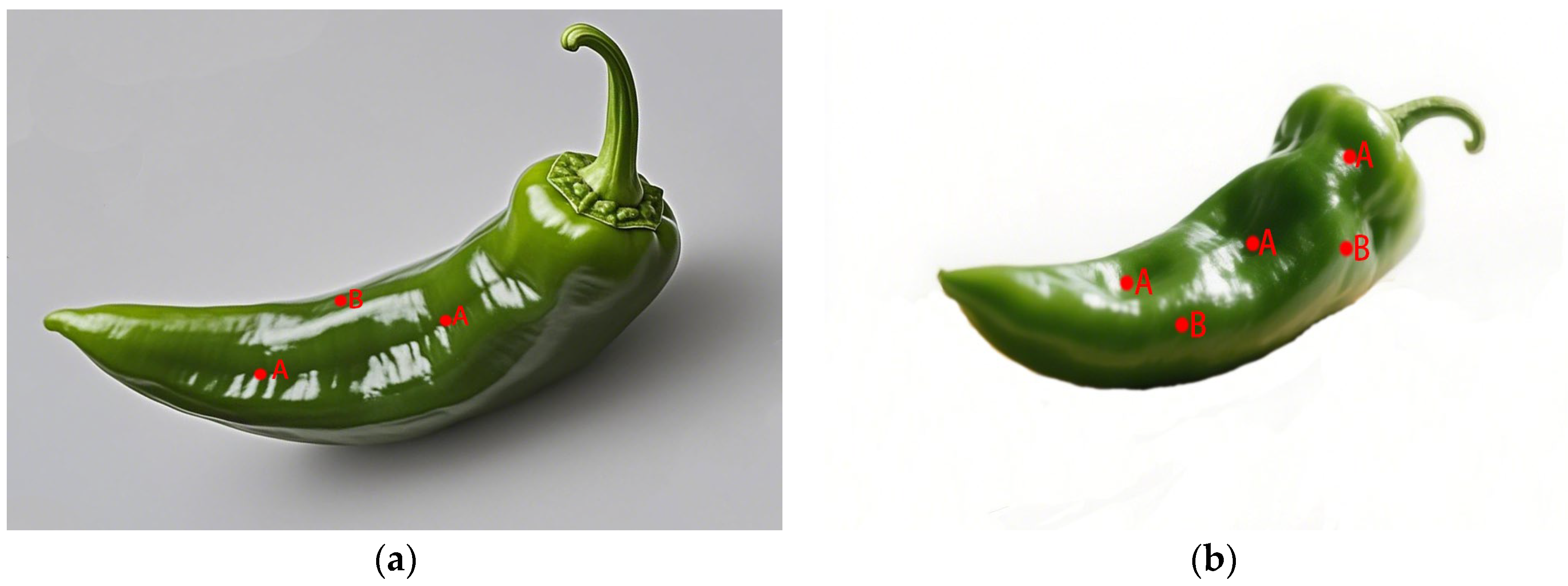 Genes 16 01319 g004 Genes 16 01319 g004