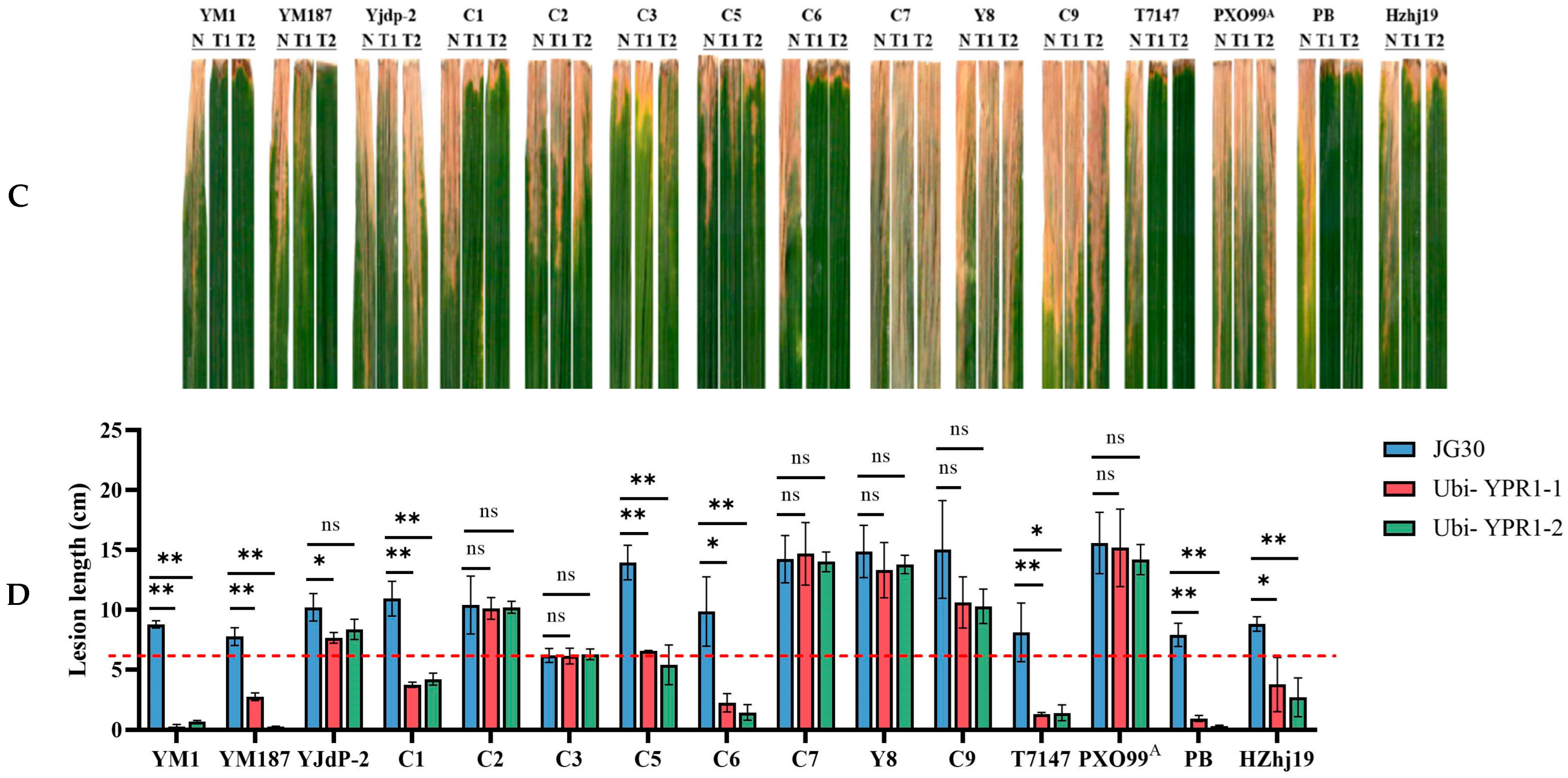 Genes 16 01321 g005b Genes 16 01321 g005b