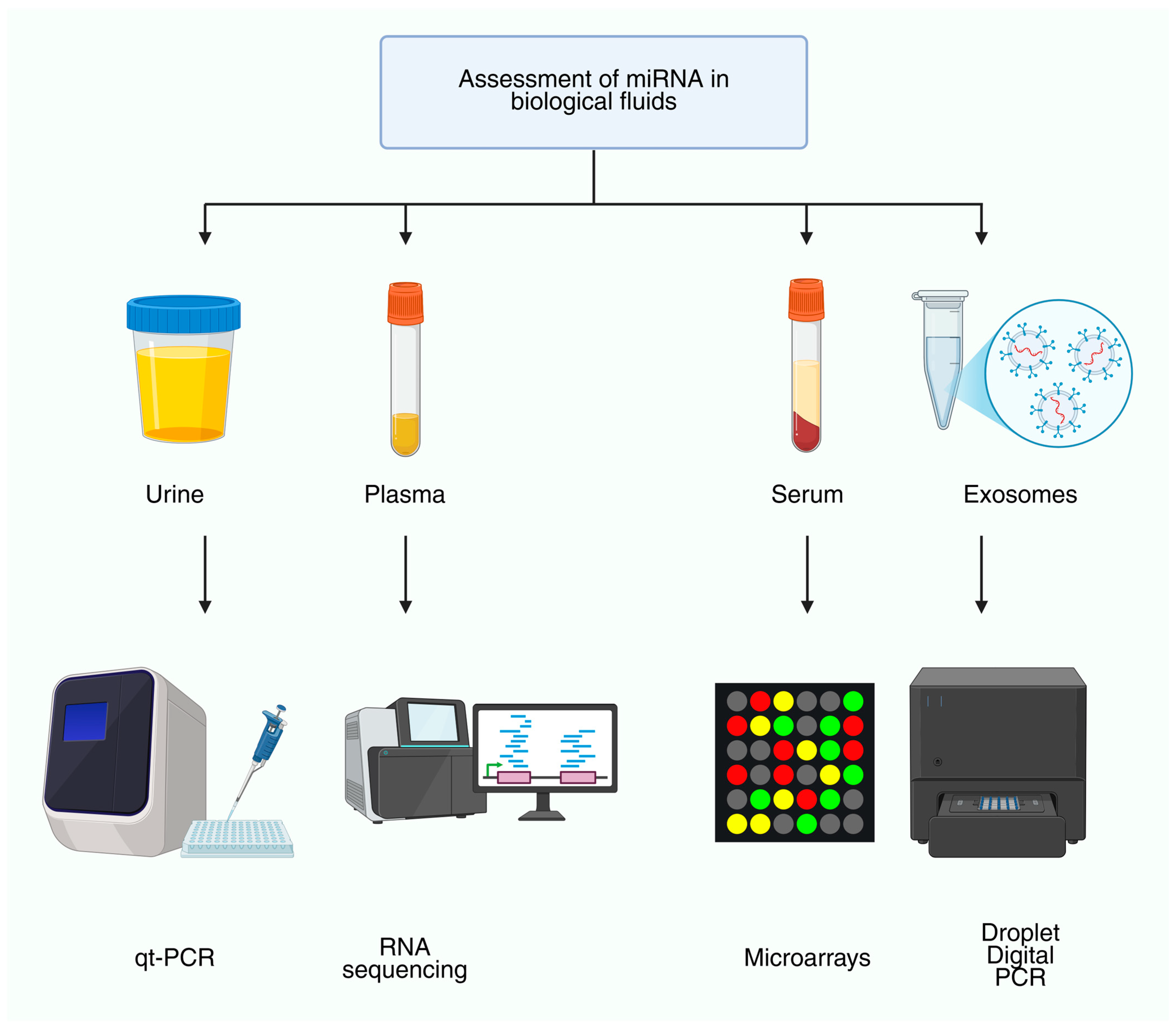Genes 16 01328 g001 Genes 16 01328 g001