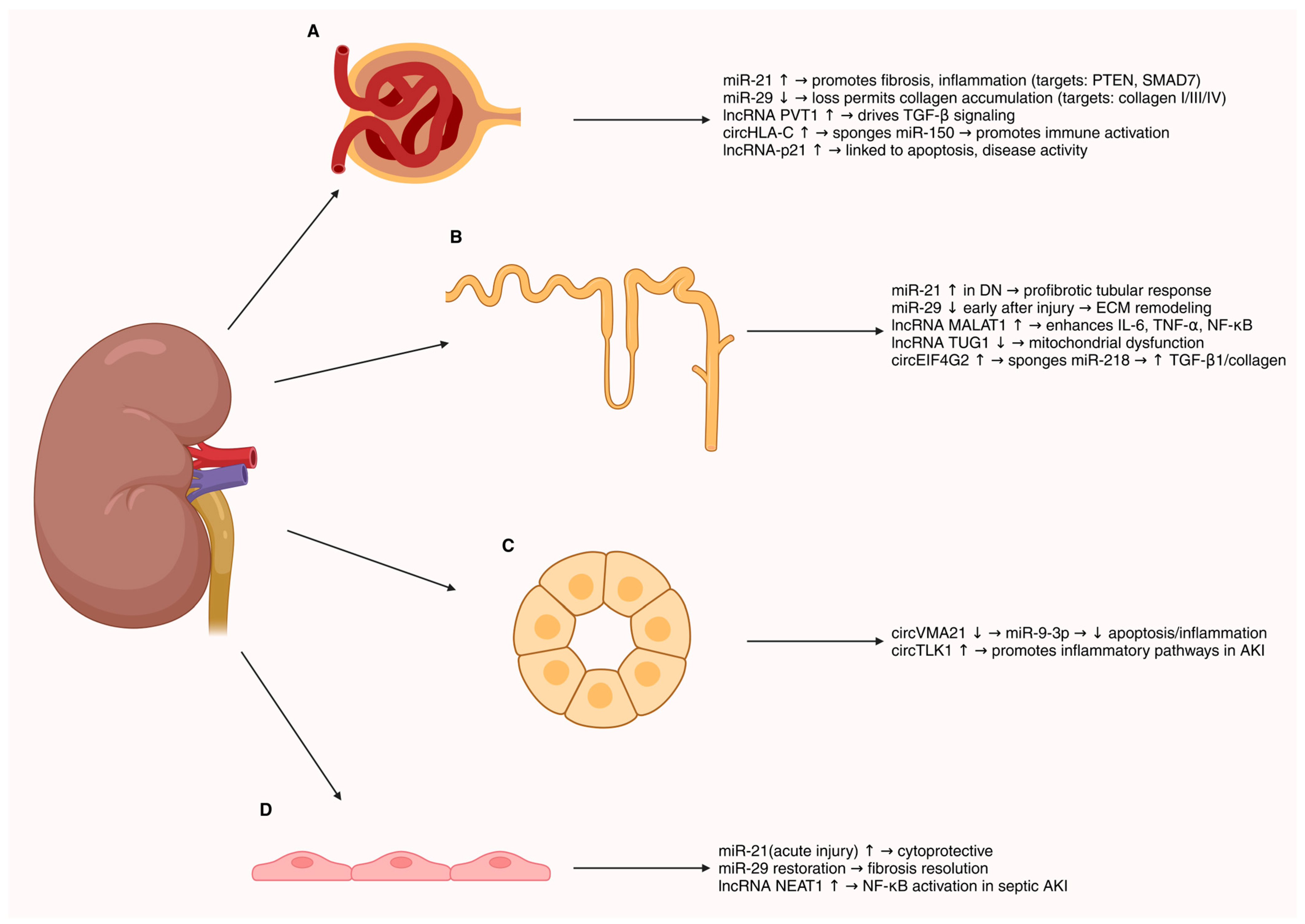 Genes 16 01328 g005 Genes 16 01328 g005