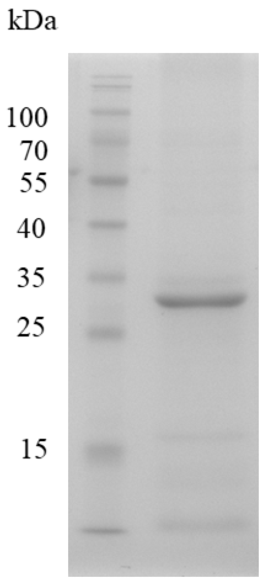 Genes 16 01330 g005
