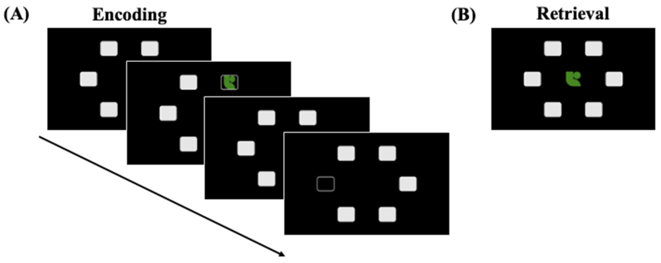 Genes 16 01331 g002 Genes 16 01331 g002