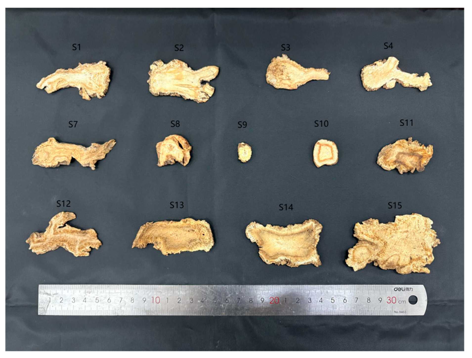 Genes 16 01333 g001 Genes 16 01333 g001