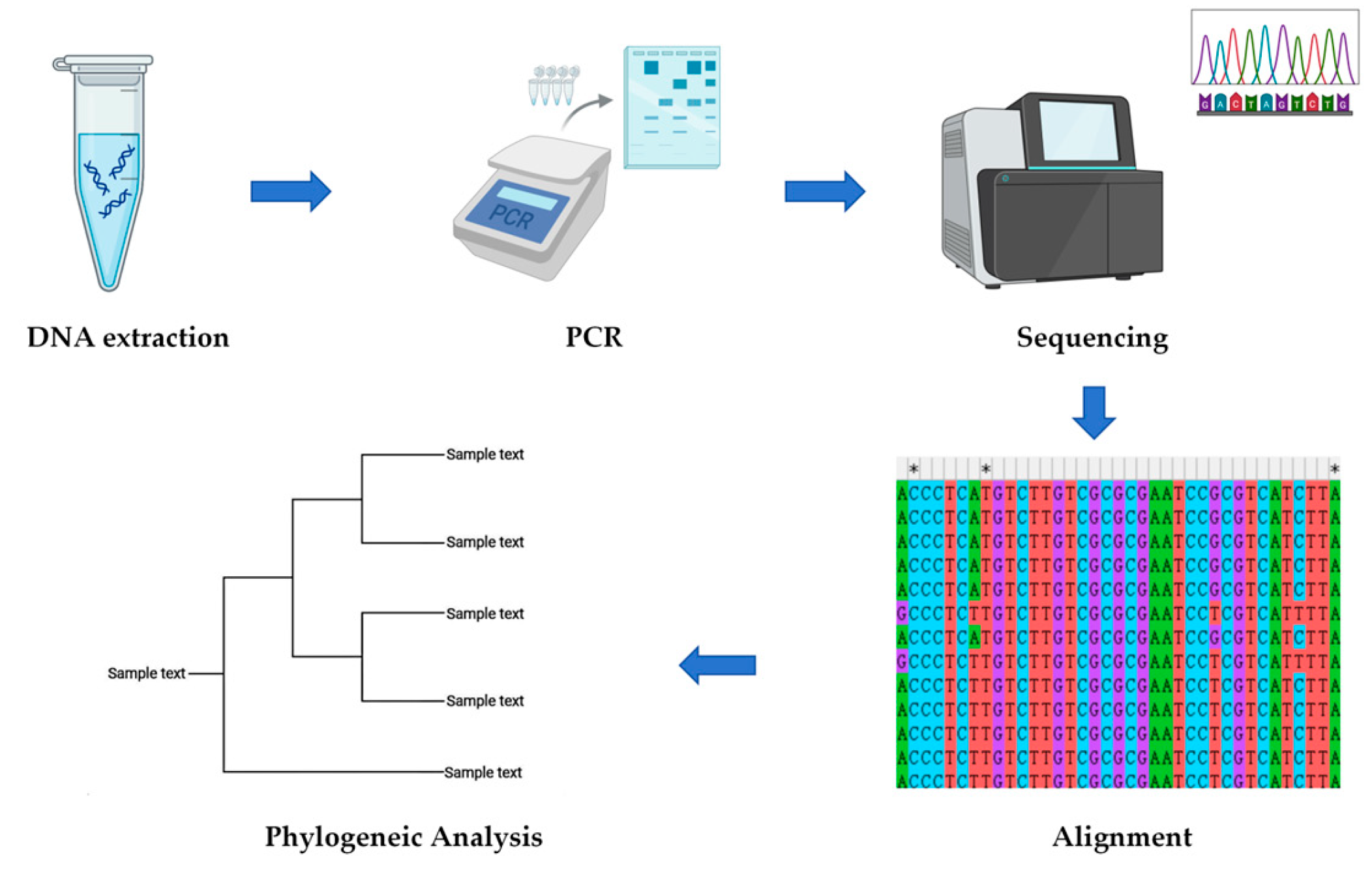 Genes 16 01333 g003 Genes 16 01333 g003